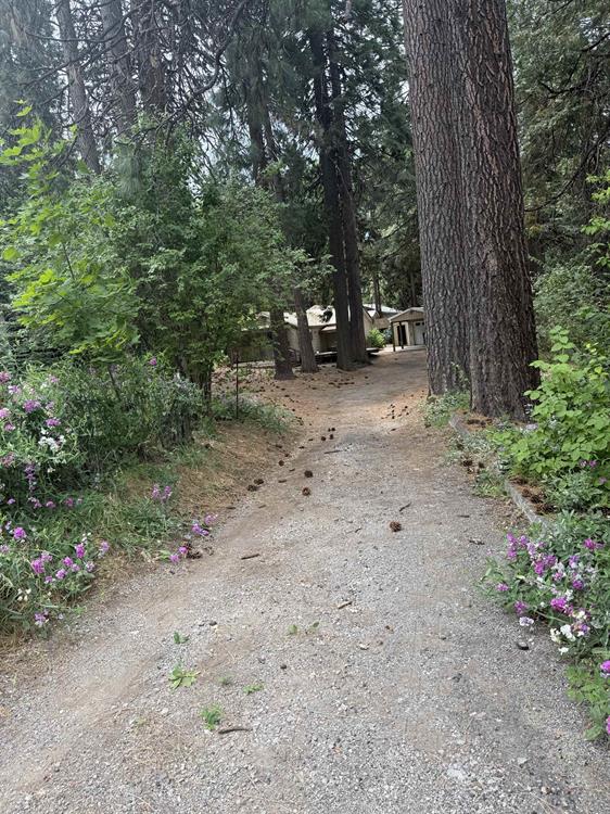 509 McCloud Ave, Mt Shasta