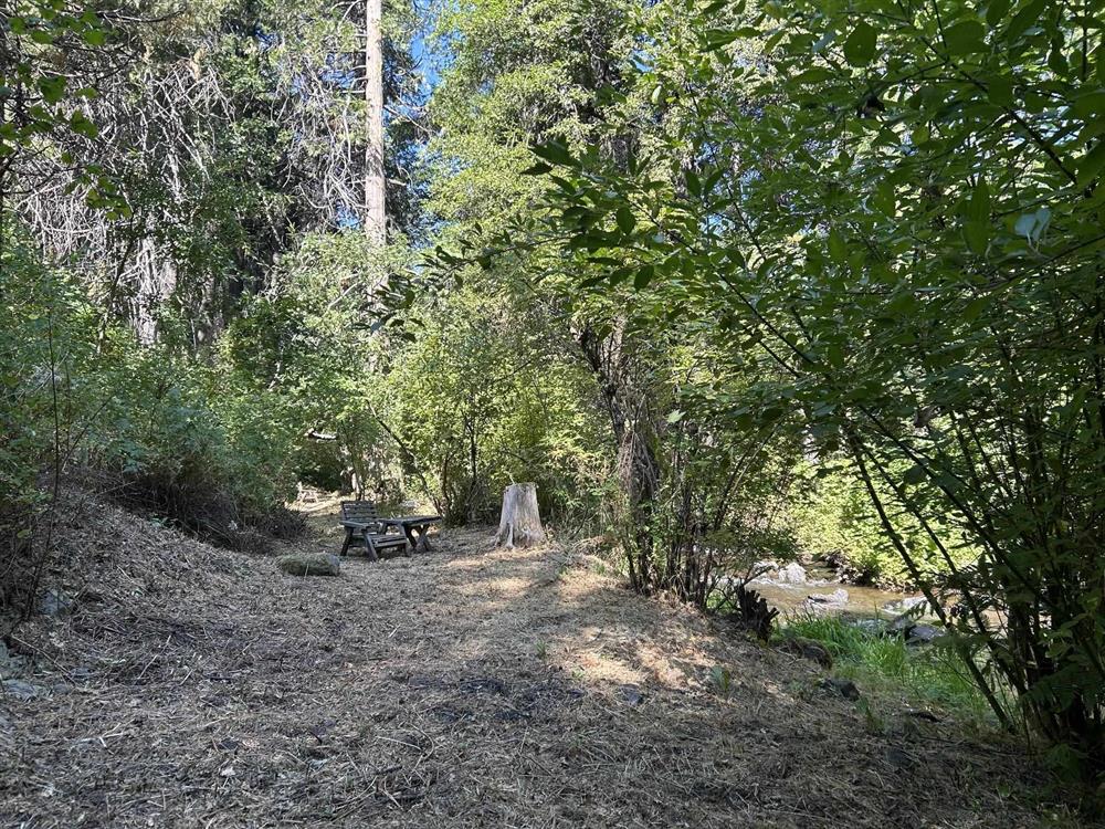 1404 S Shasta Ranch Rd, Mt Shasta