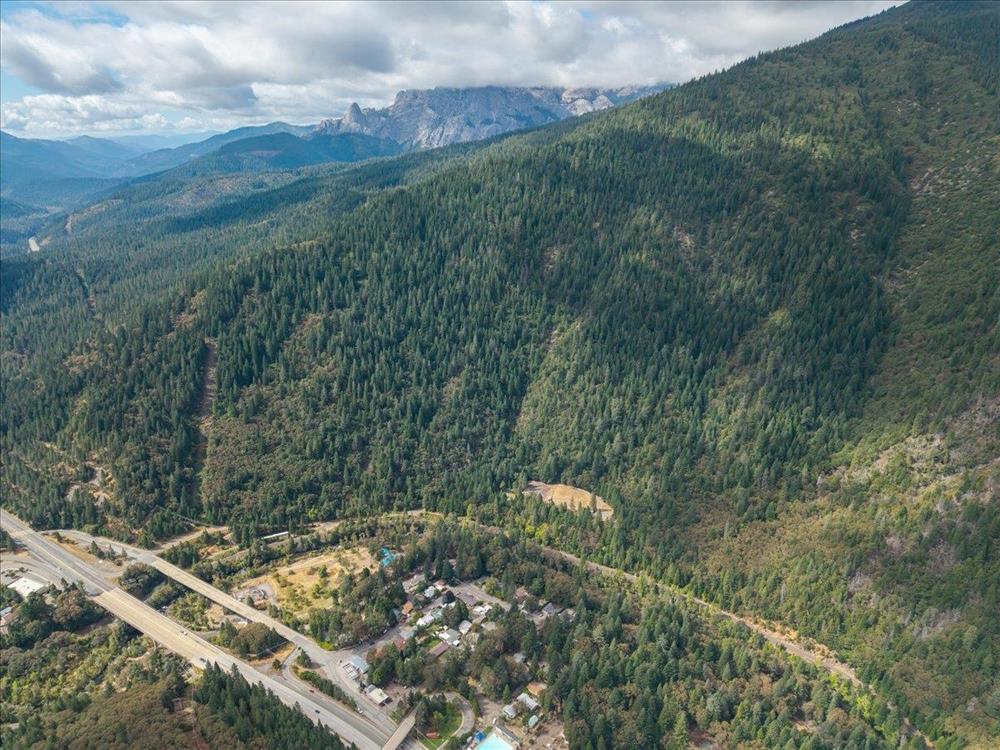 4310 Buckboard Ln, Dunsmuir