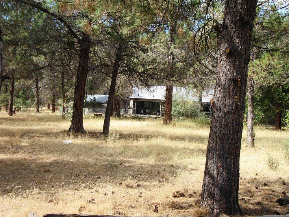 541 Mathews Rd., Dorris
