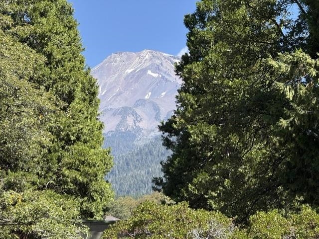 000 Everitt Memorial Hwy, Mt Shasta