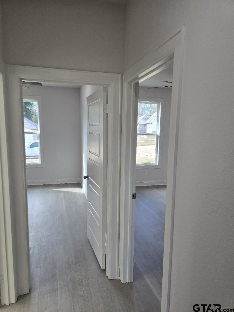 Picture 13