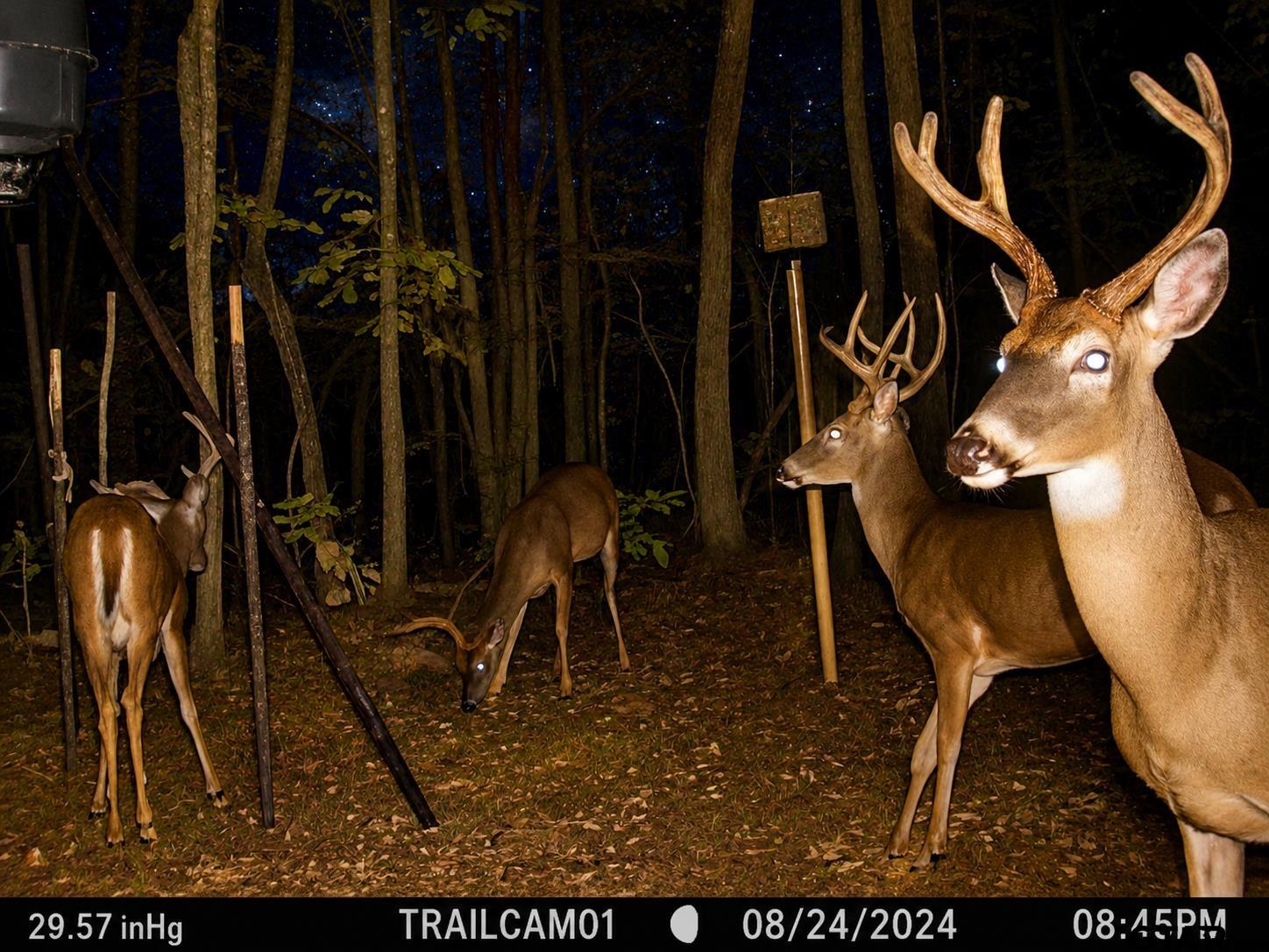 Picture 3