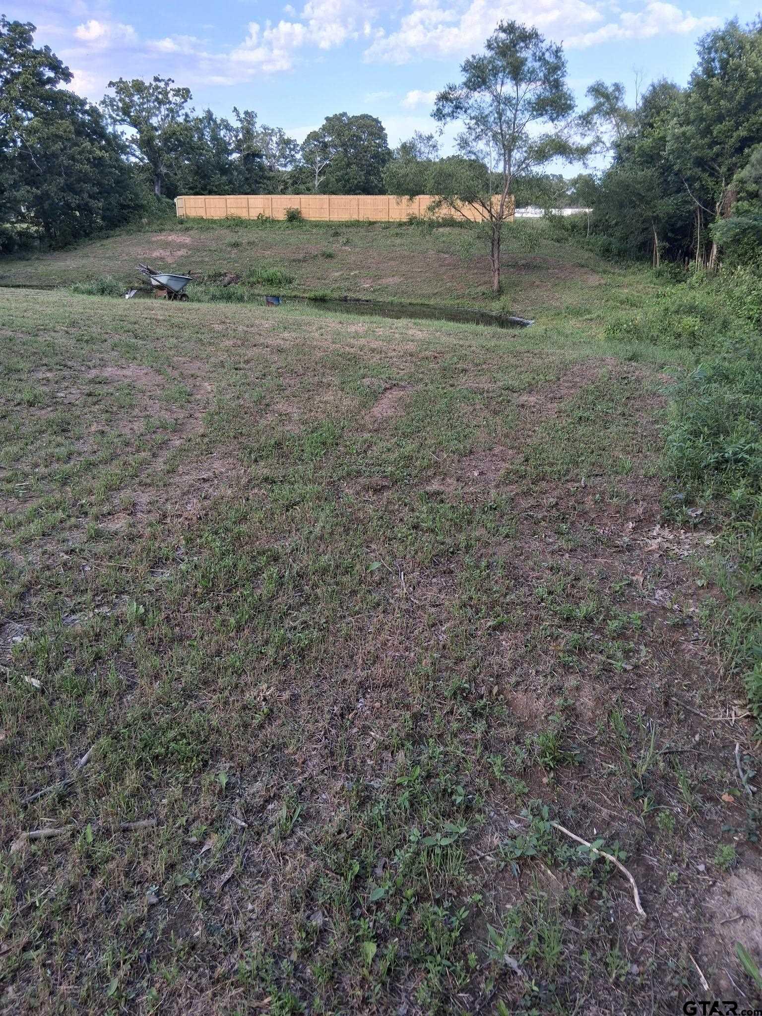 Picture 29