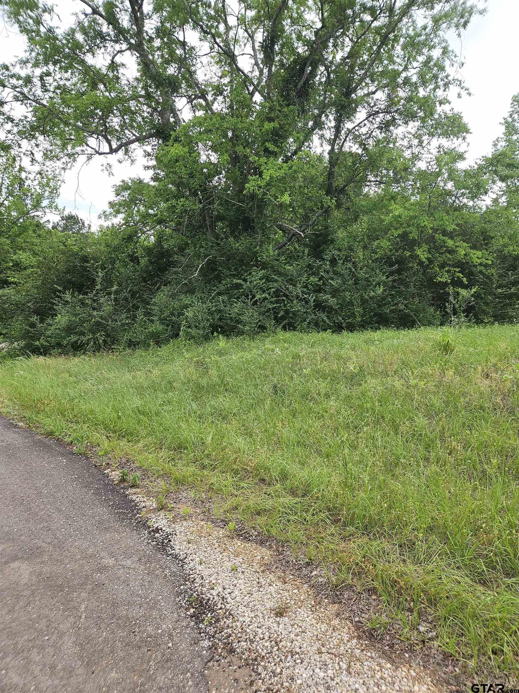 Picture 6