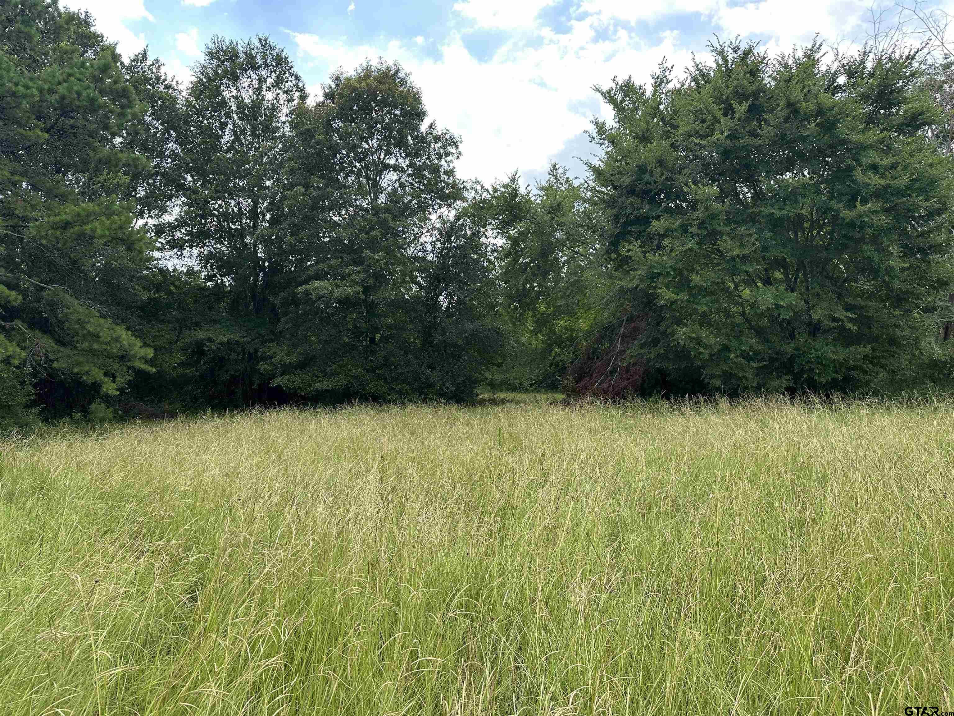 Picture 12