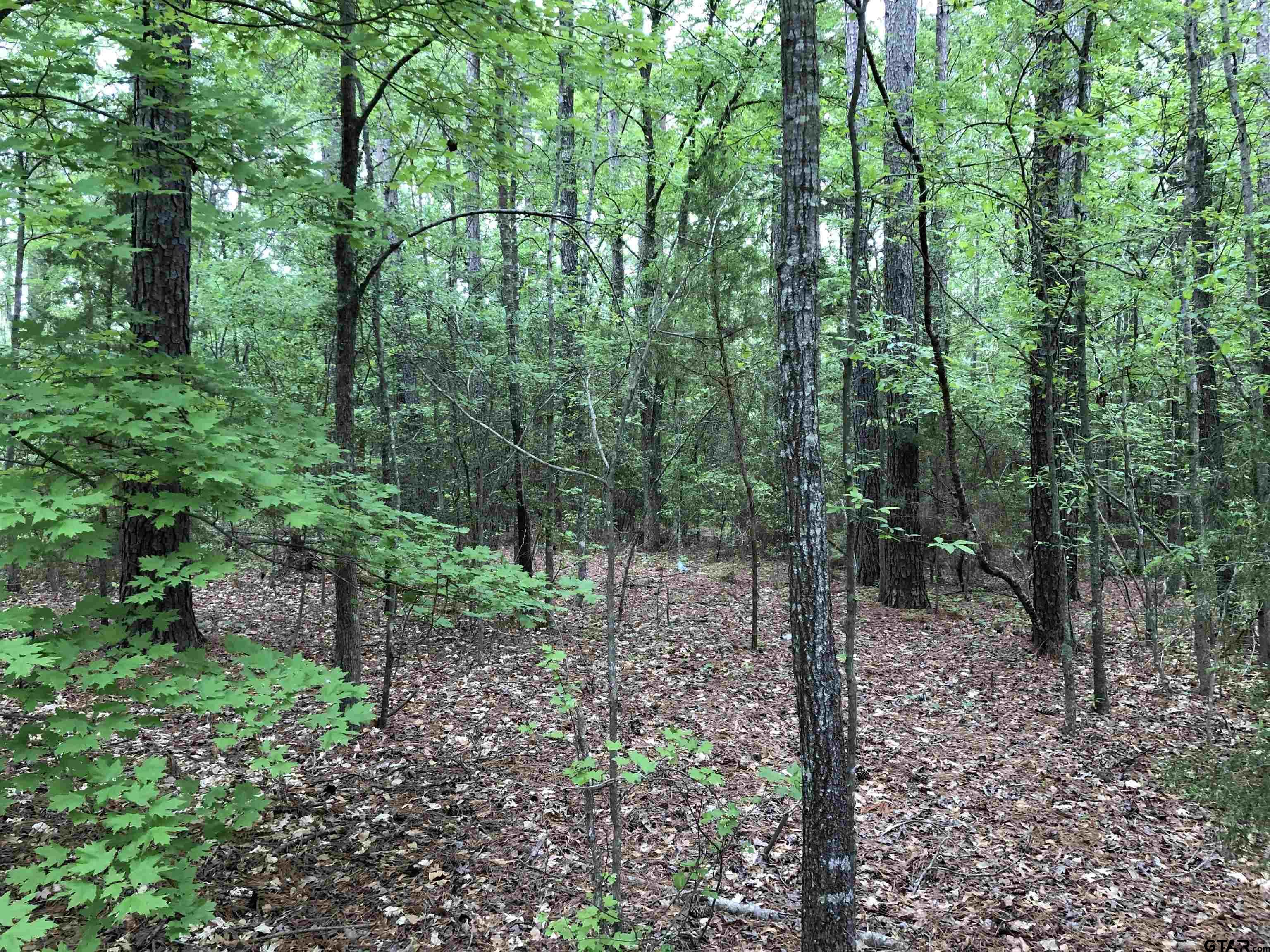 Picture 19