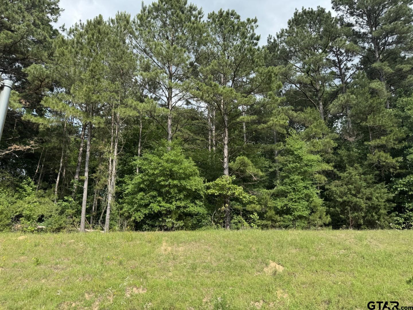 Picture 20