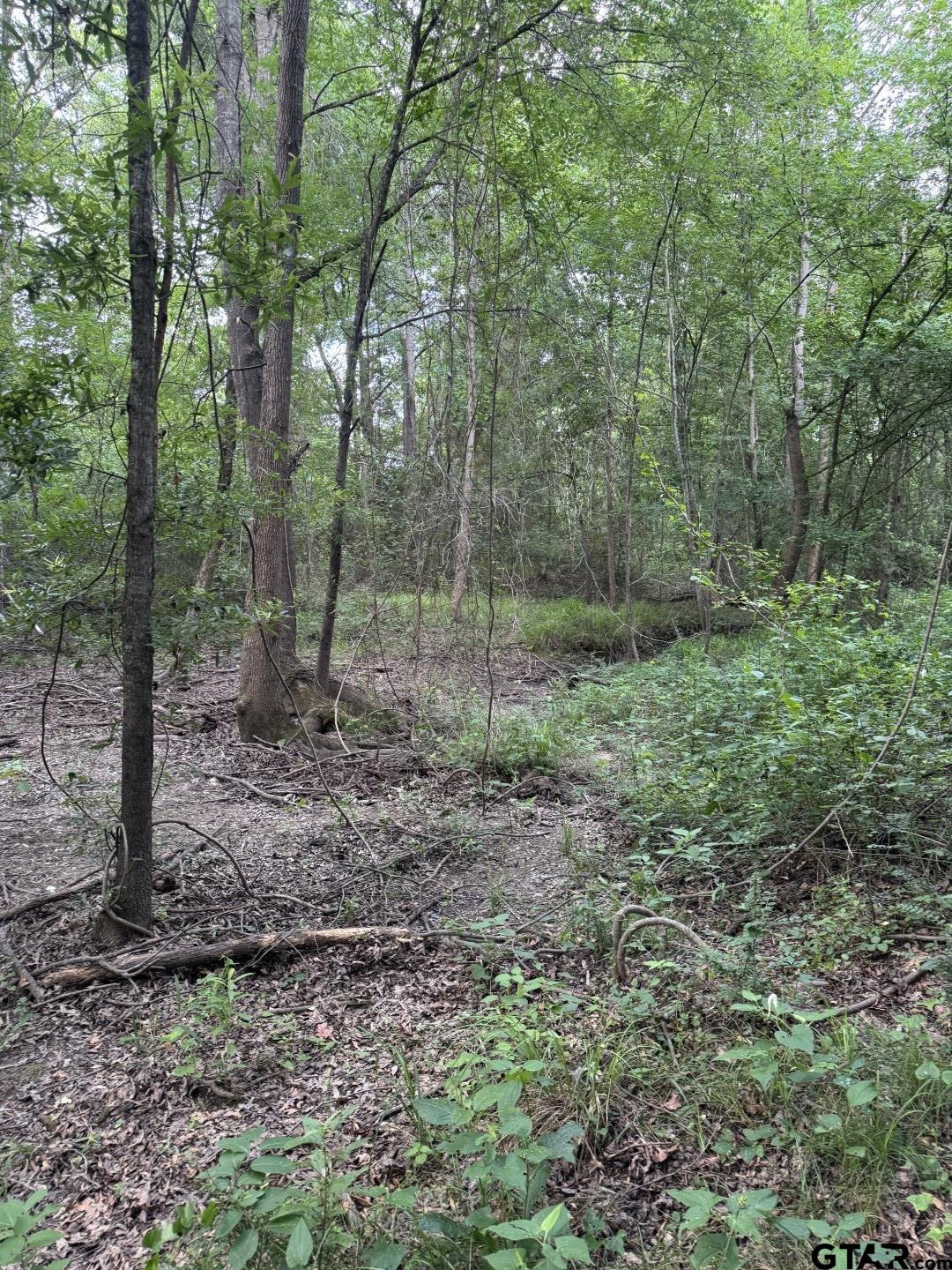 Picture 28