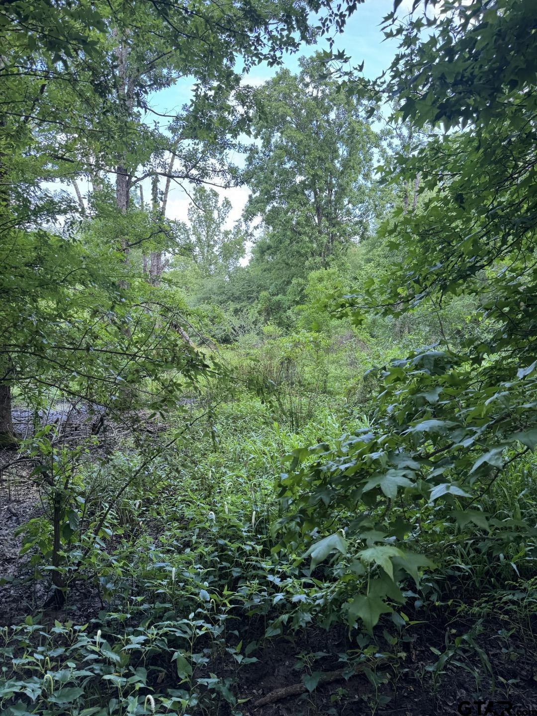 Picture 30