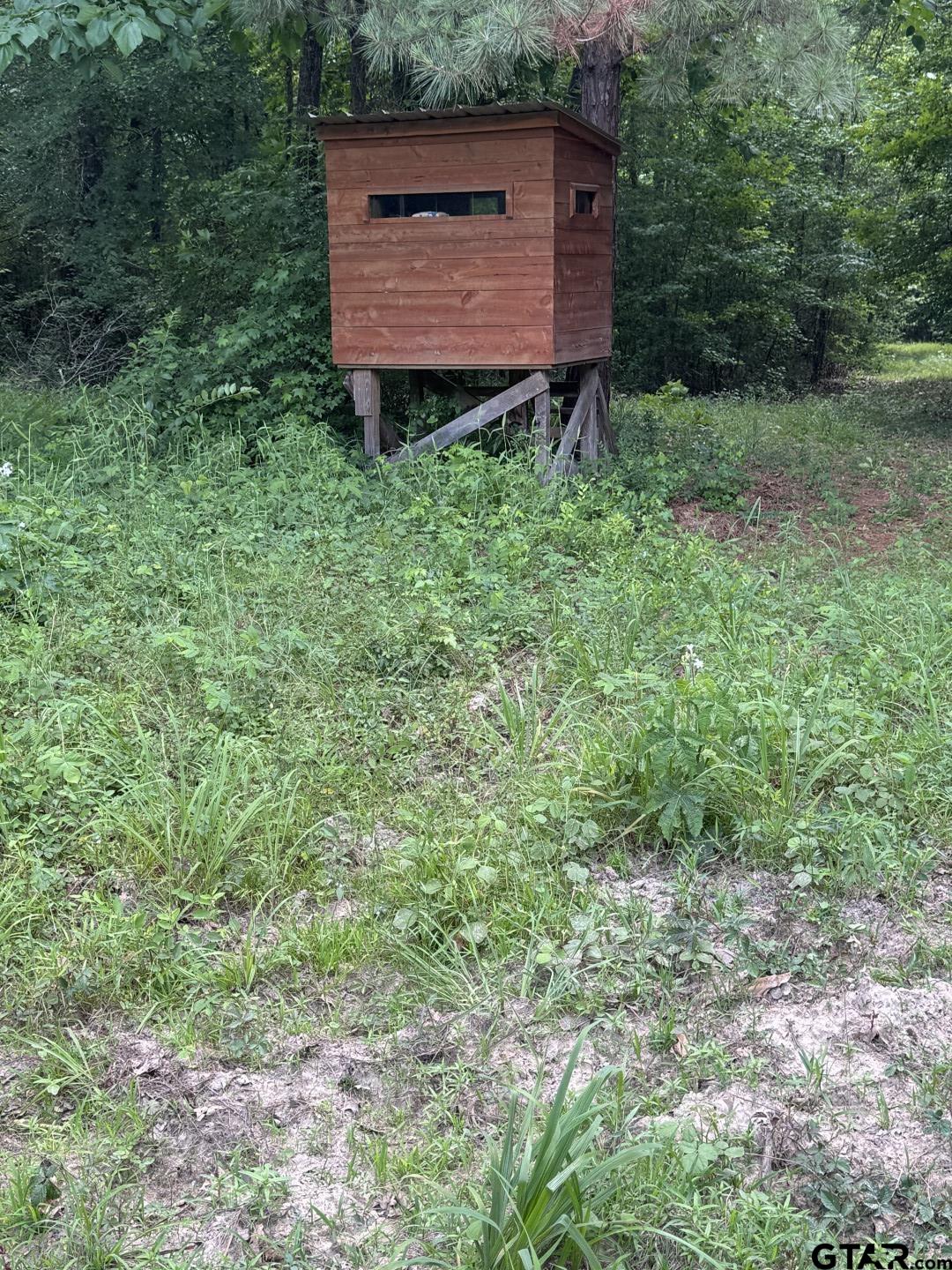 Picture 4