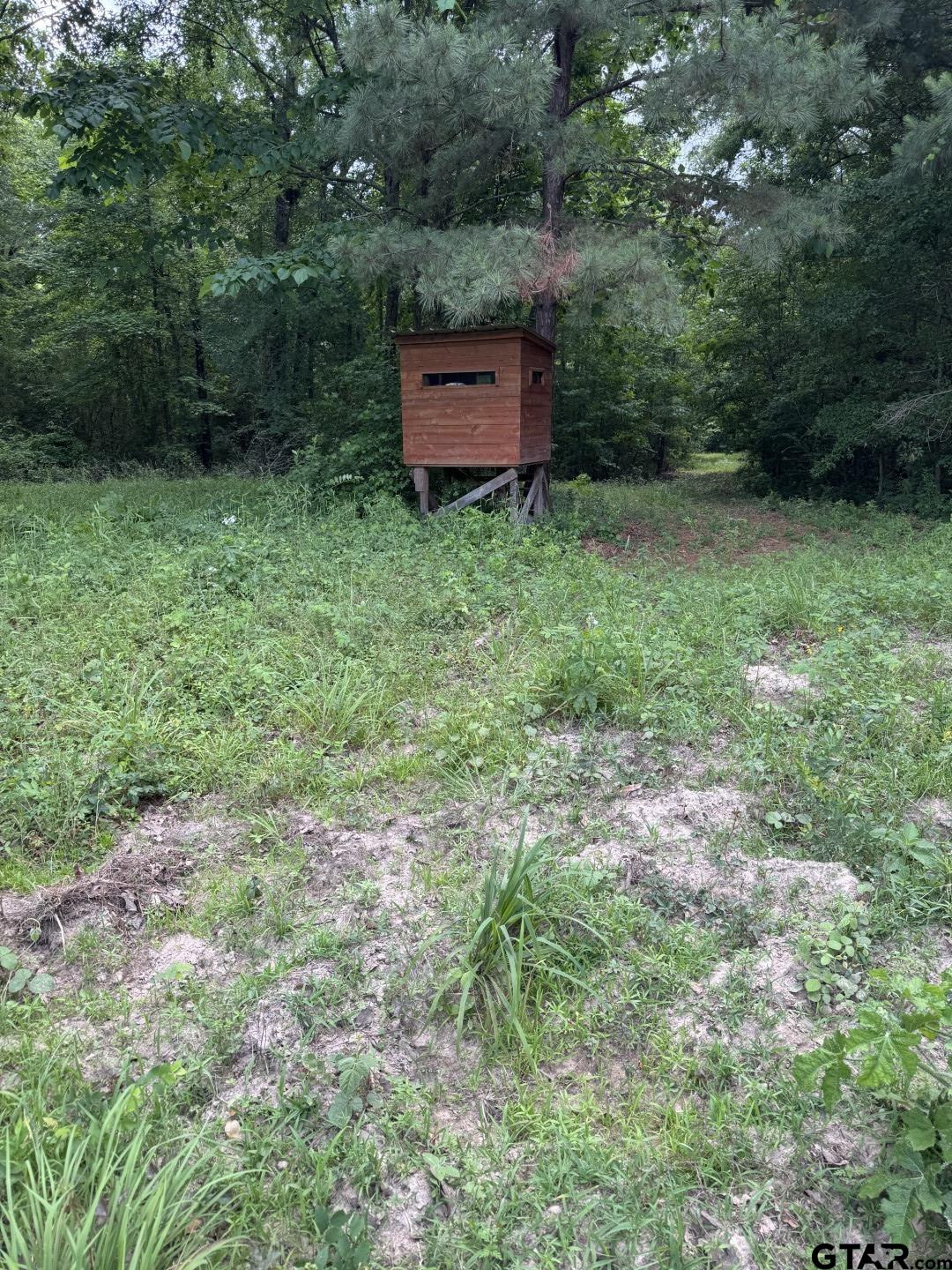 Picture 38