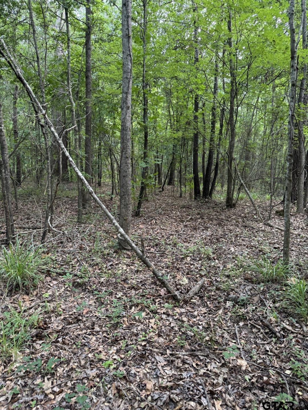 Picture 40