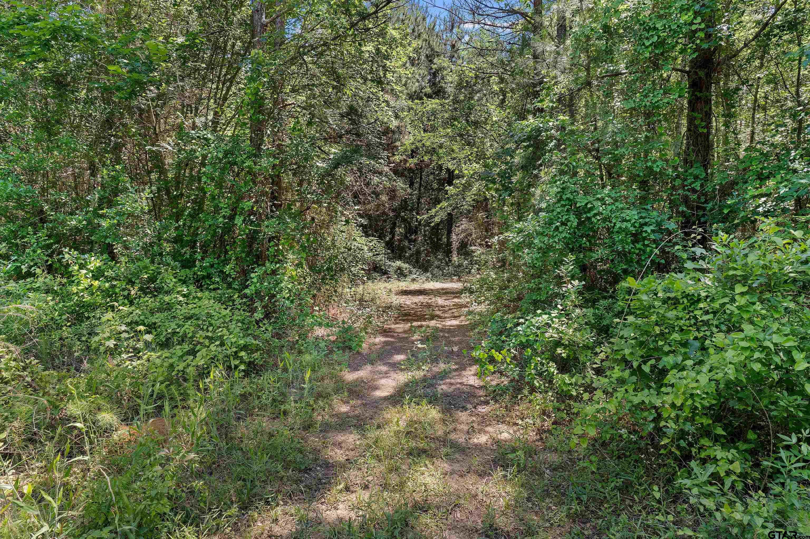 Picture 21