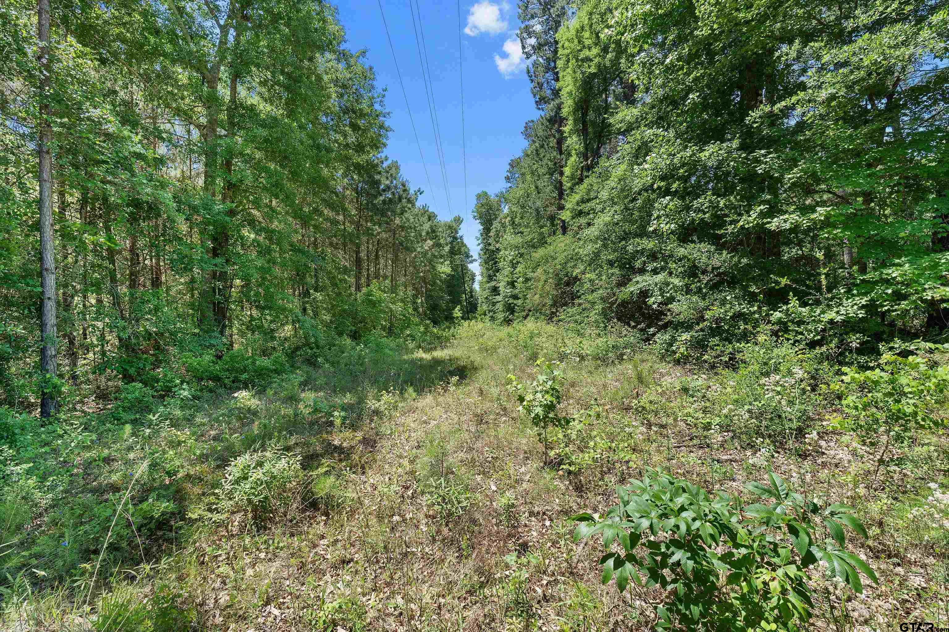 Picture 25