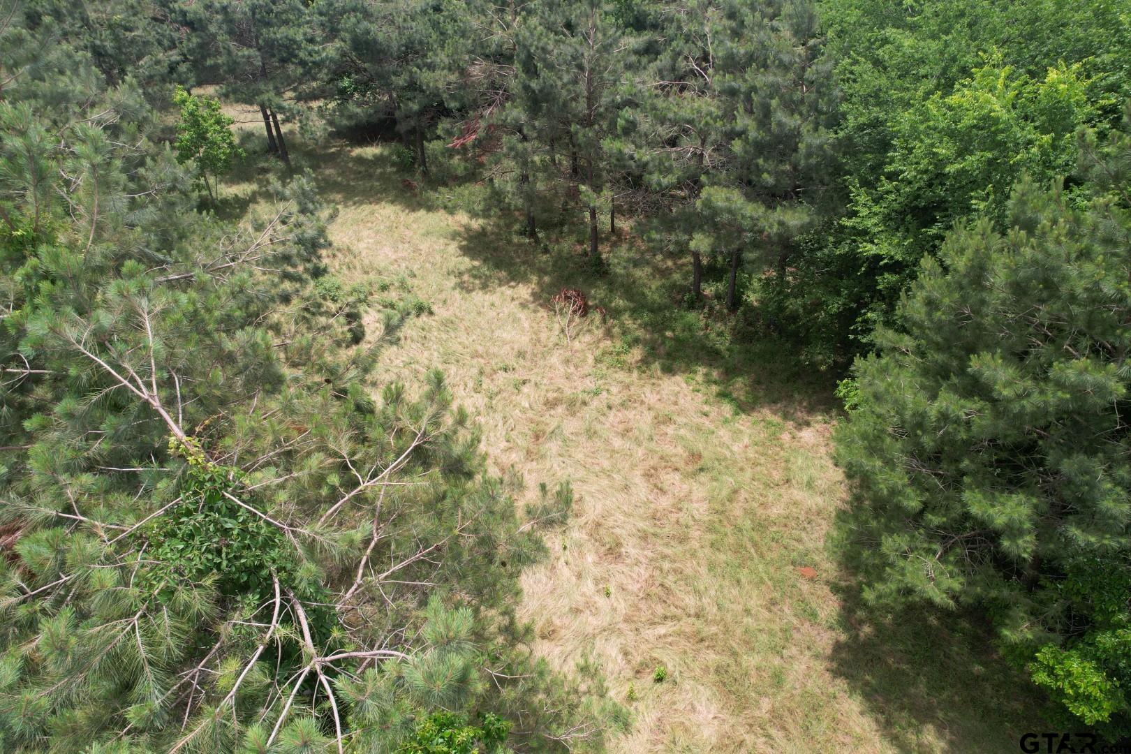Picture 9