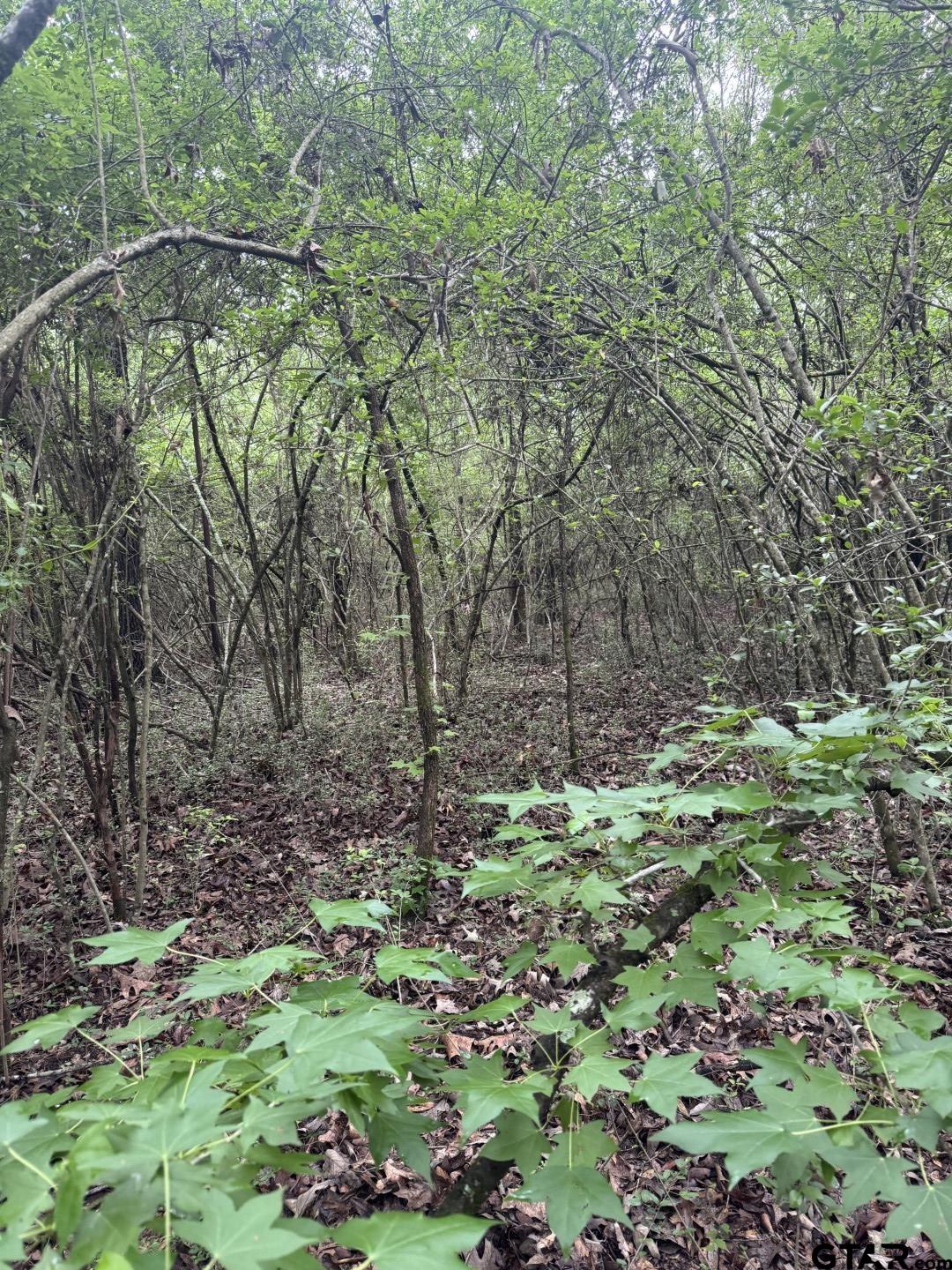 Picture 4