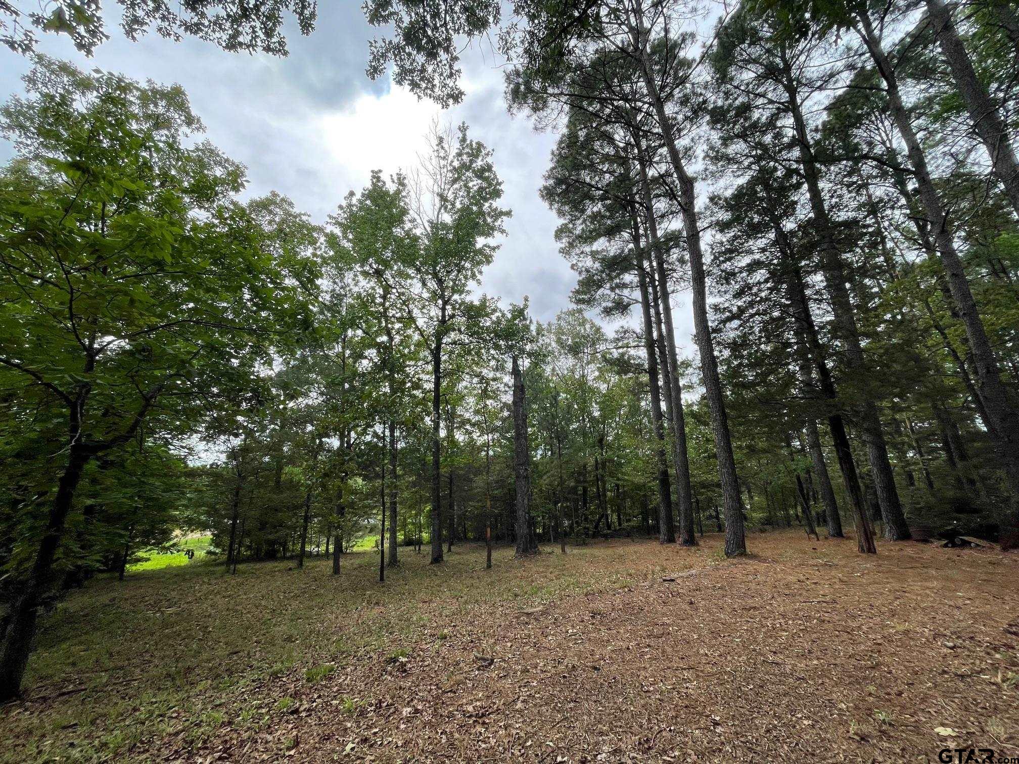 Picture 8