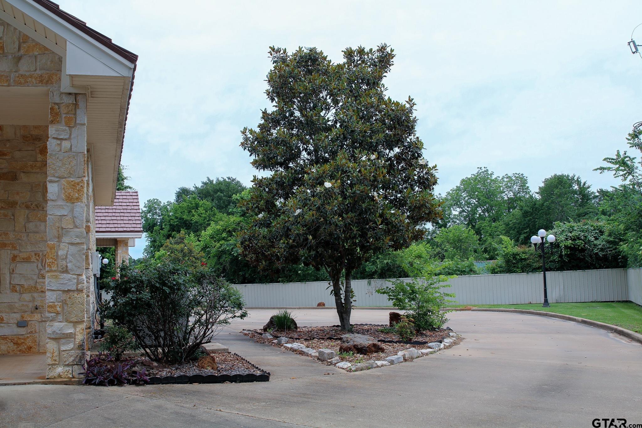 Picture 6