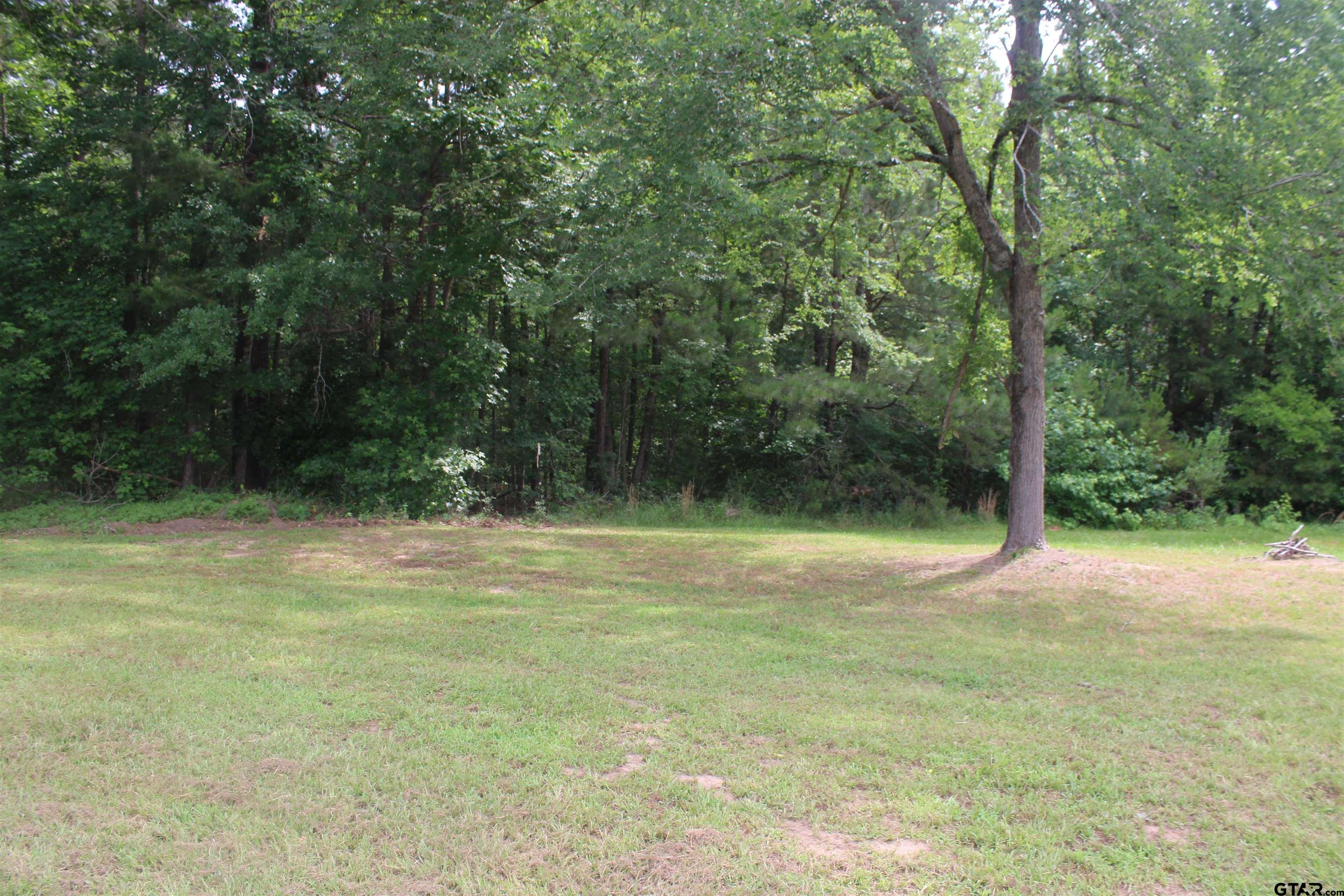Picture 14