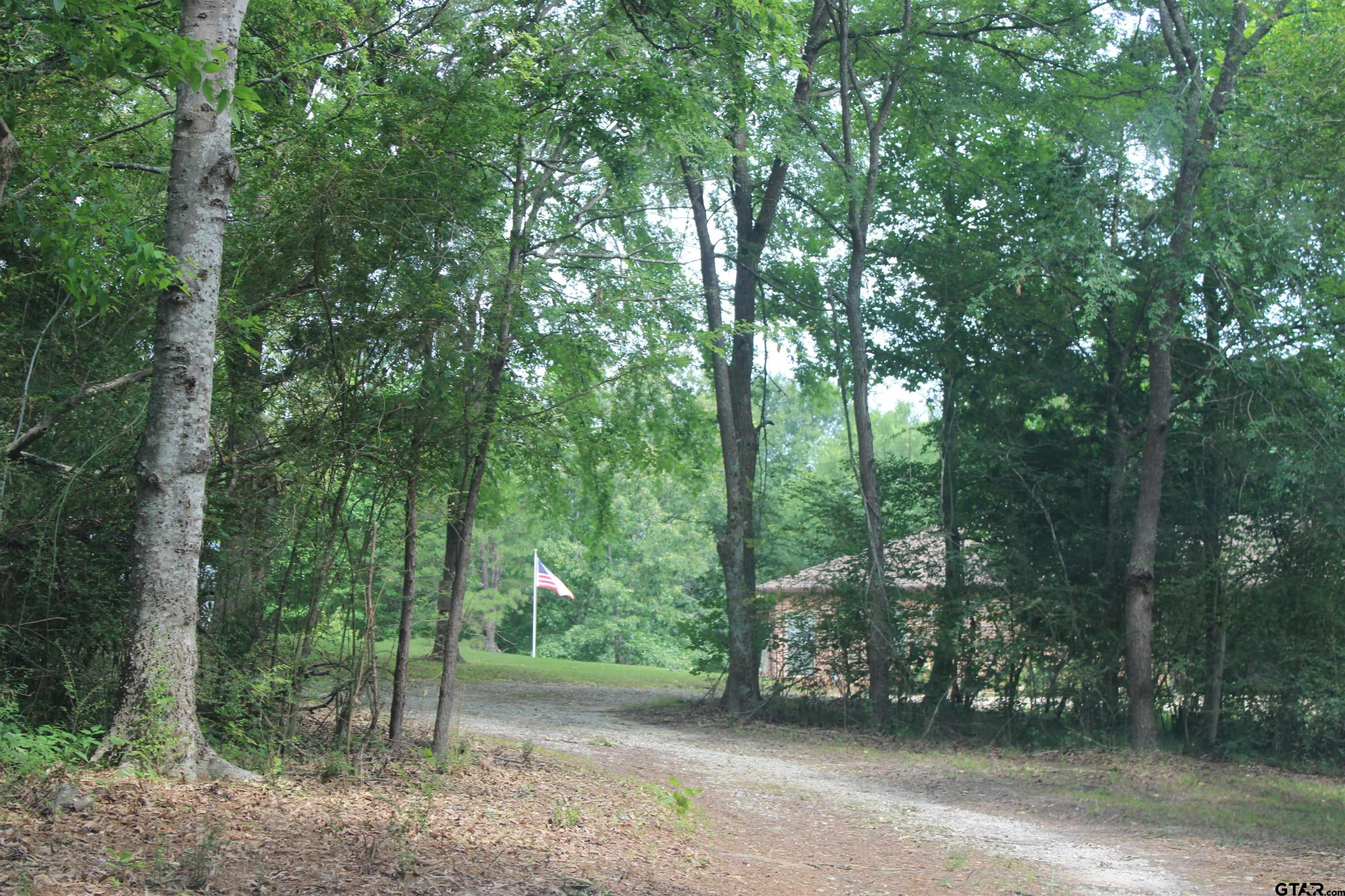 Picture 3