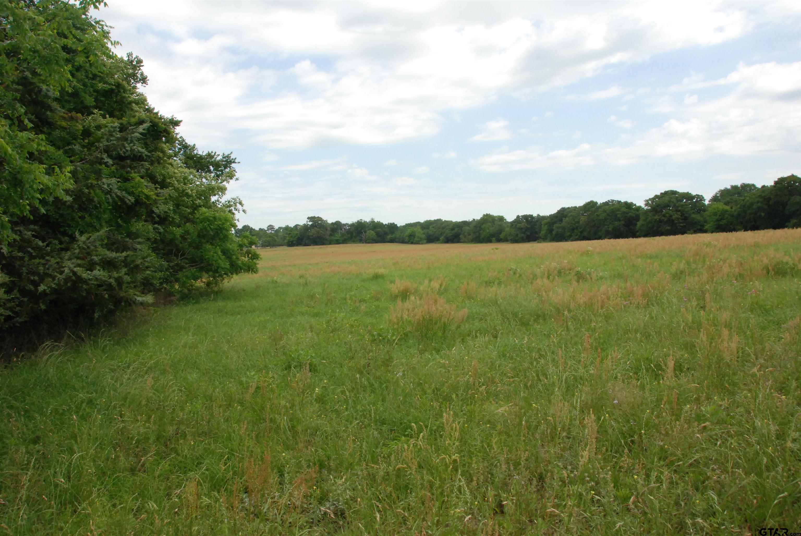 Picture 22
