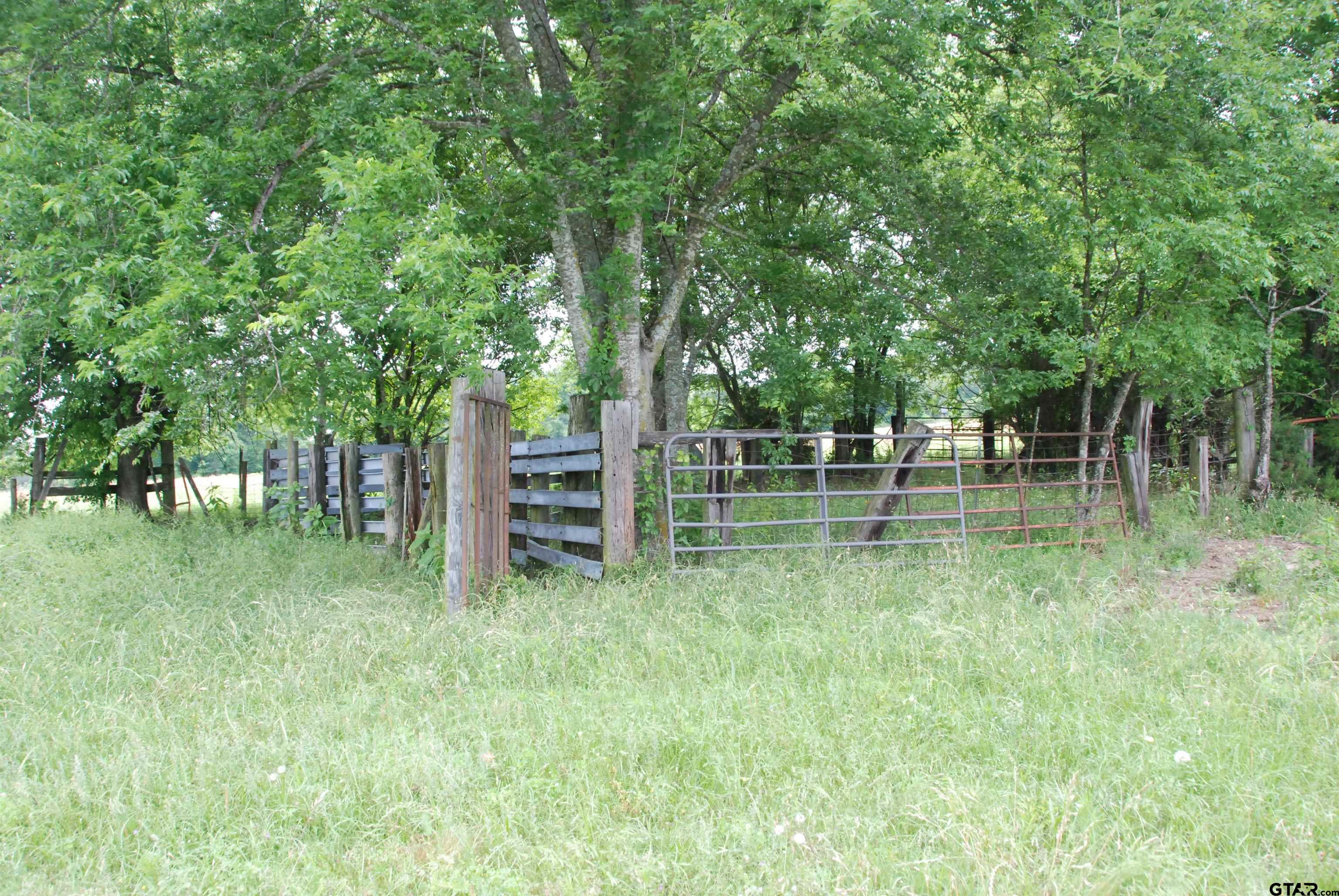 Picture 6