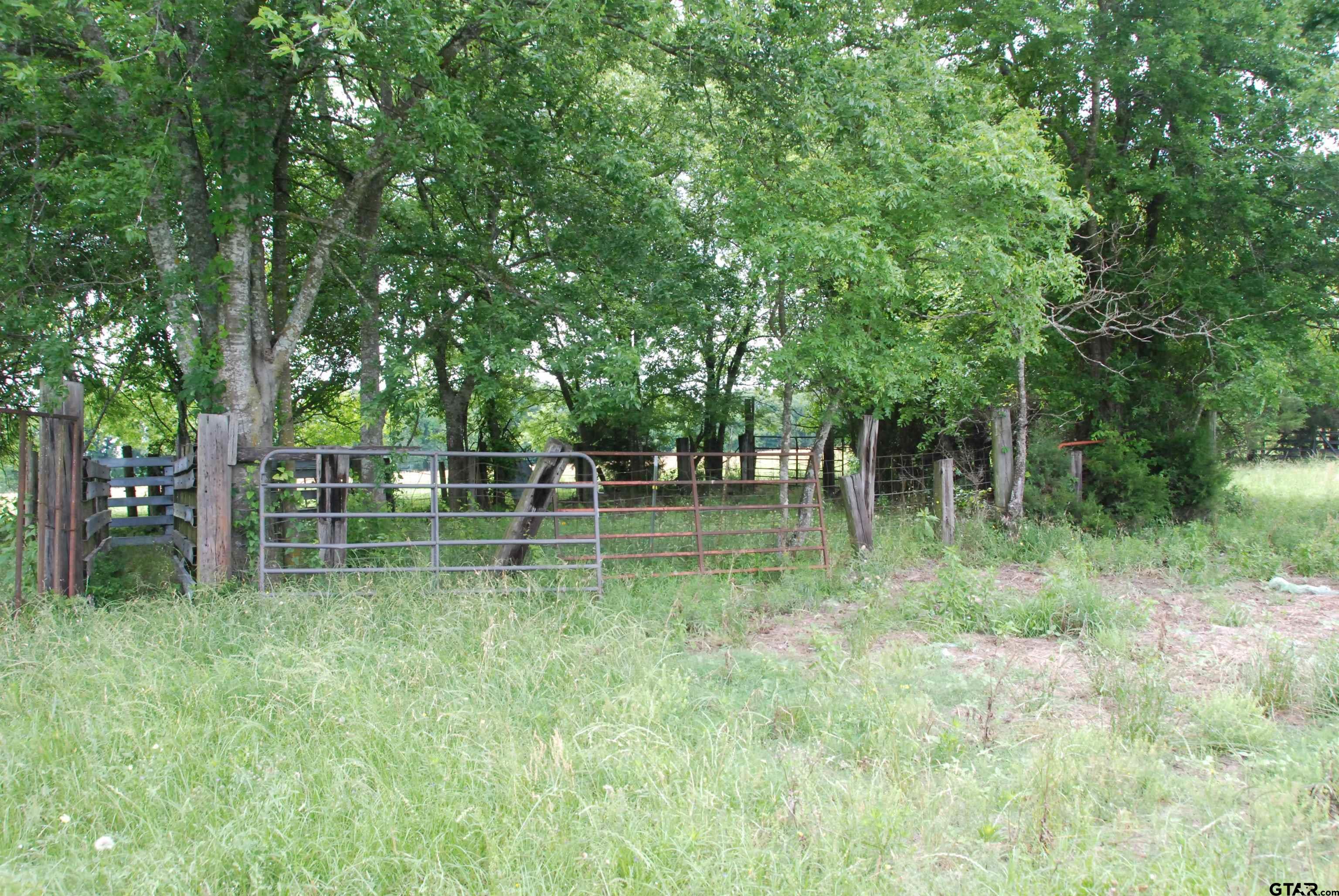 Picture 7