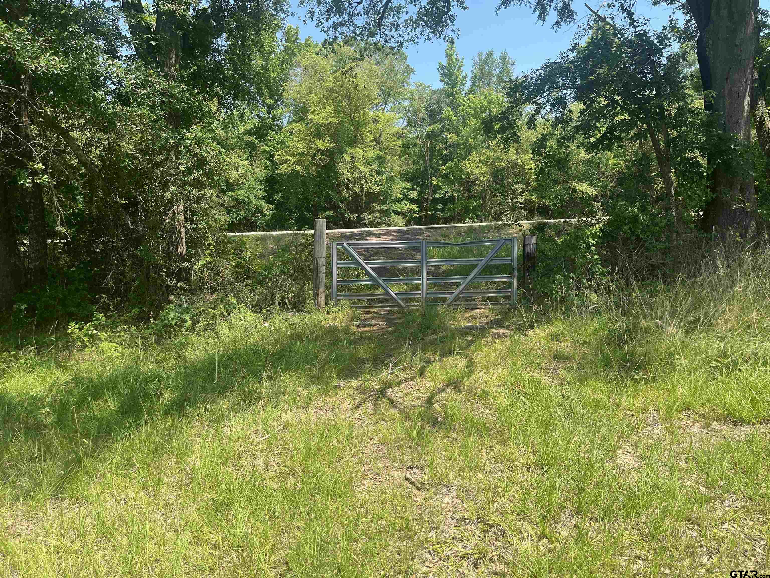 Property Image 42