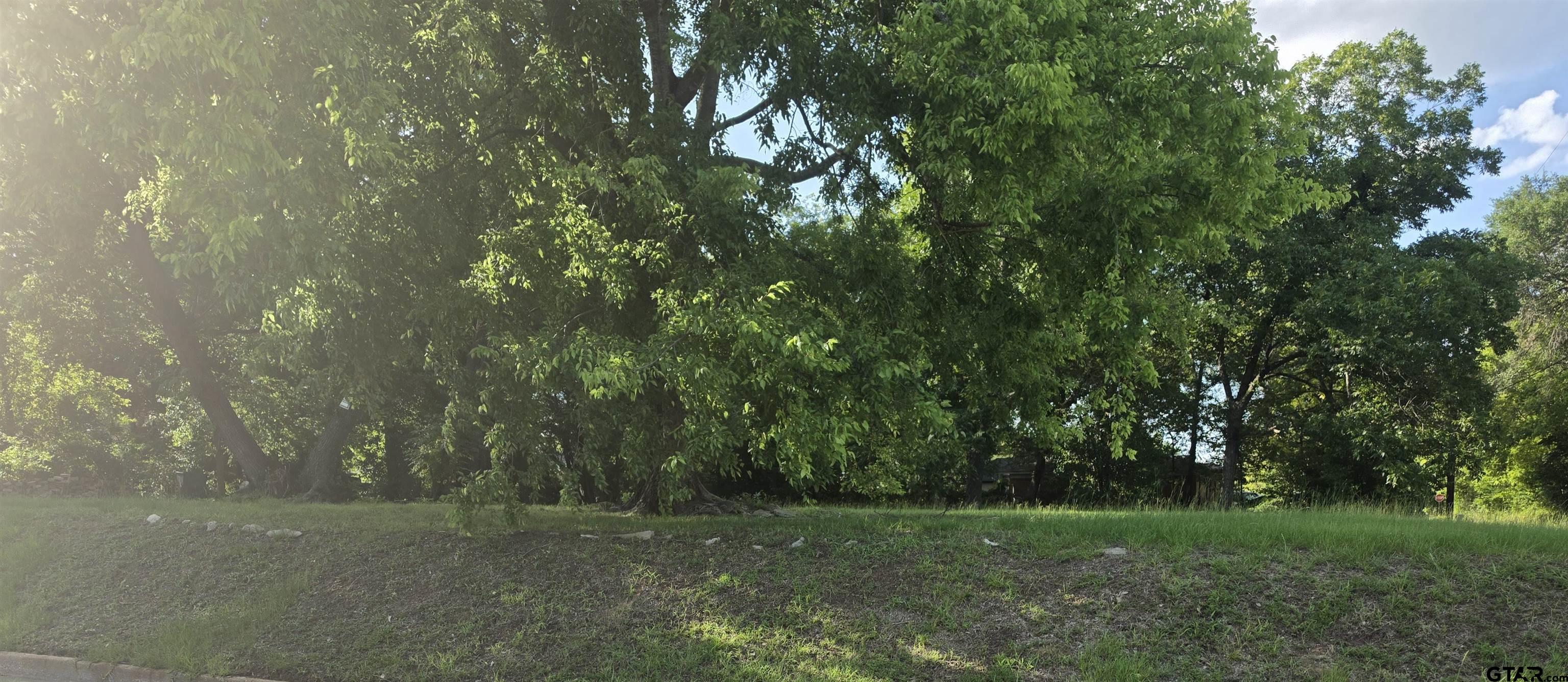 1428 Tenneha, Tyler, Texas image 1