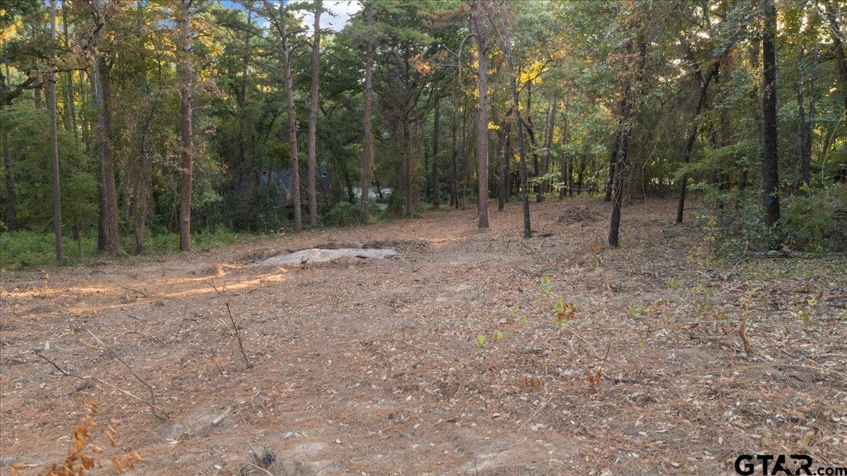 20722 Lakeview Dr., Flint, Texas image 1