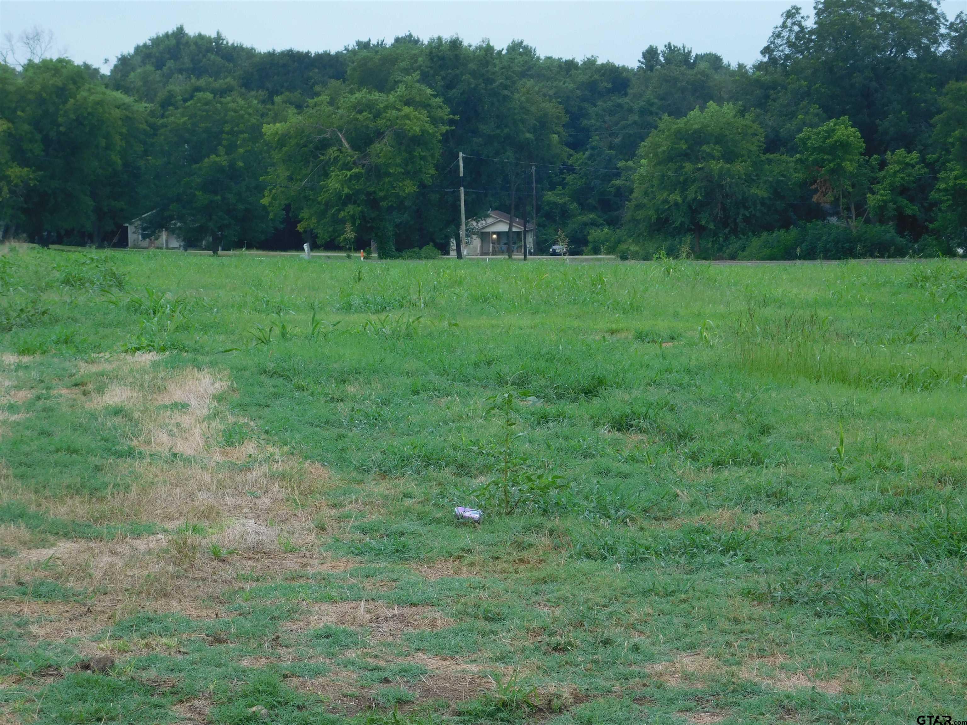 TBD Fulton, Pittsburg, Texas image 1