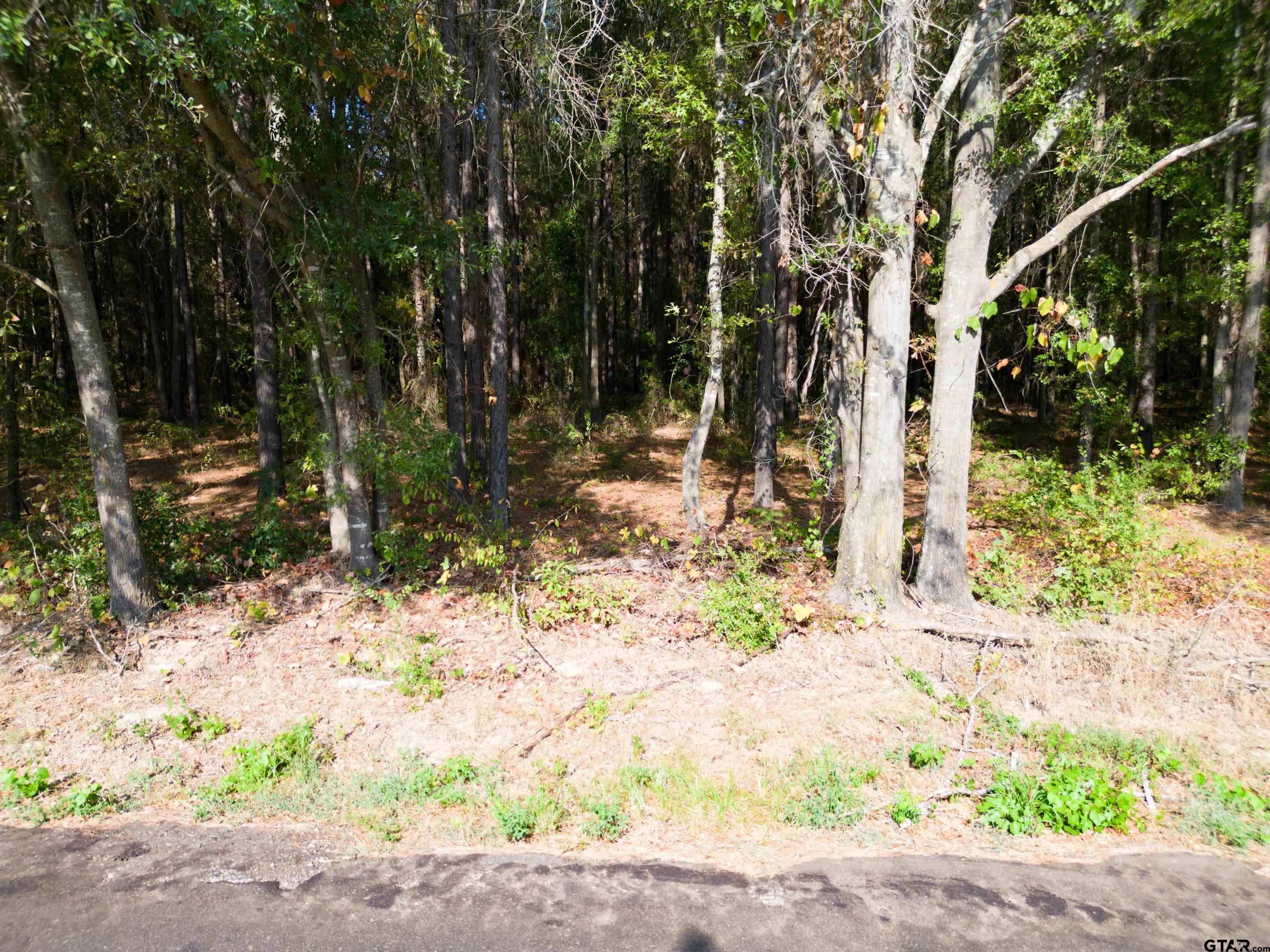 TBD Cr 4313, Pittsburg, Texas image 1