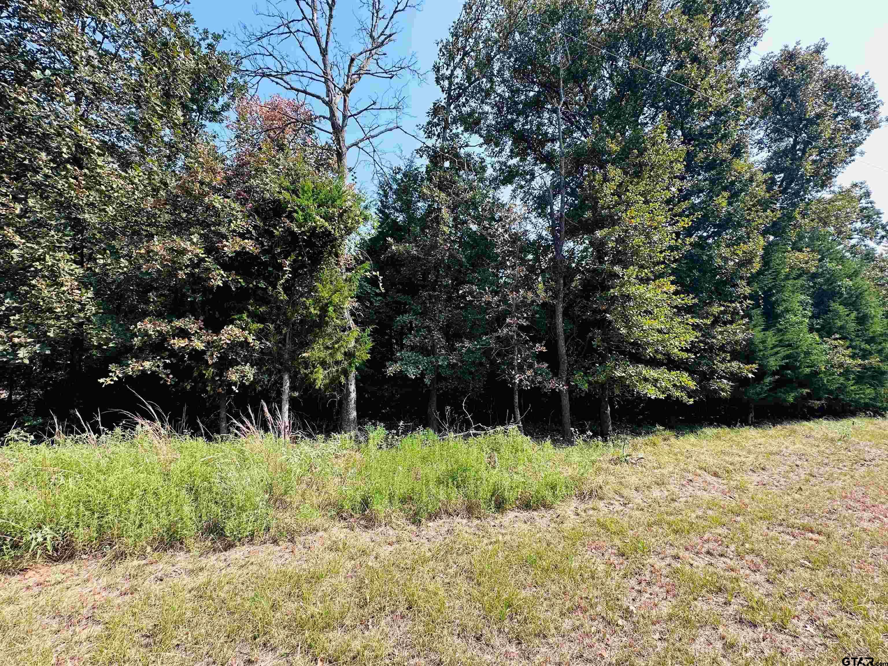 12-14 N Pedernales, Athens, Texas image 1