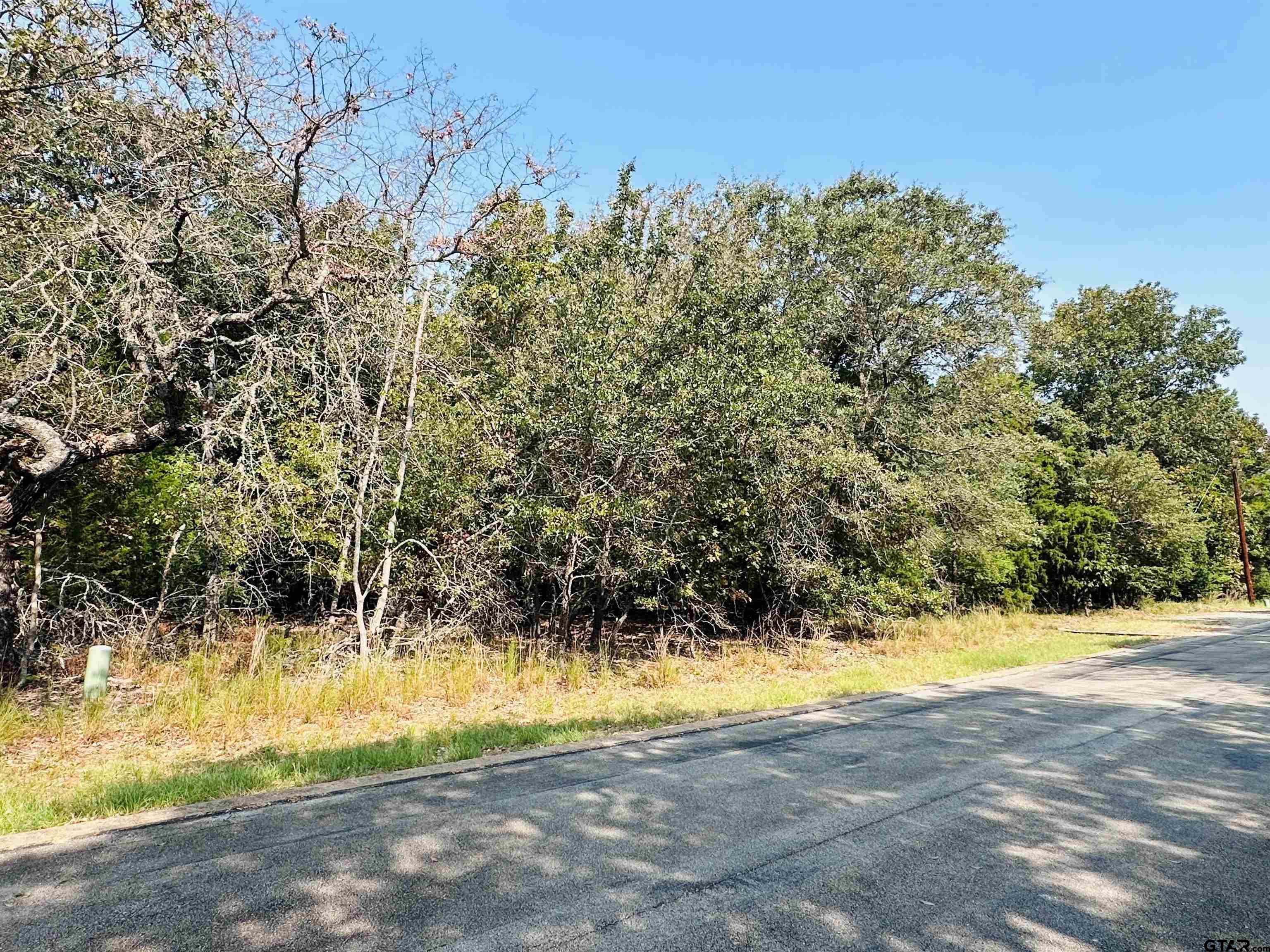 36-40 E Pedernales, Athens, Texas image 1
