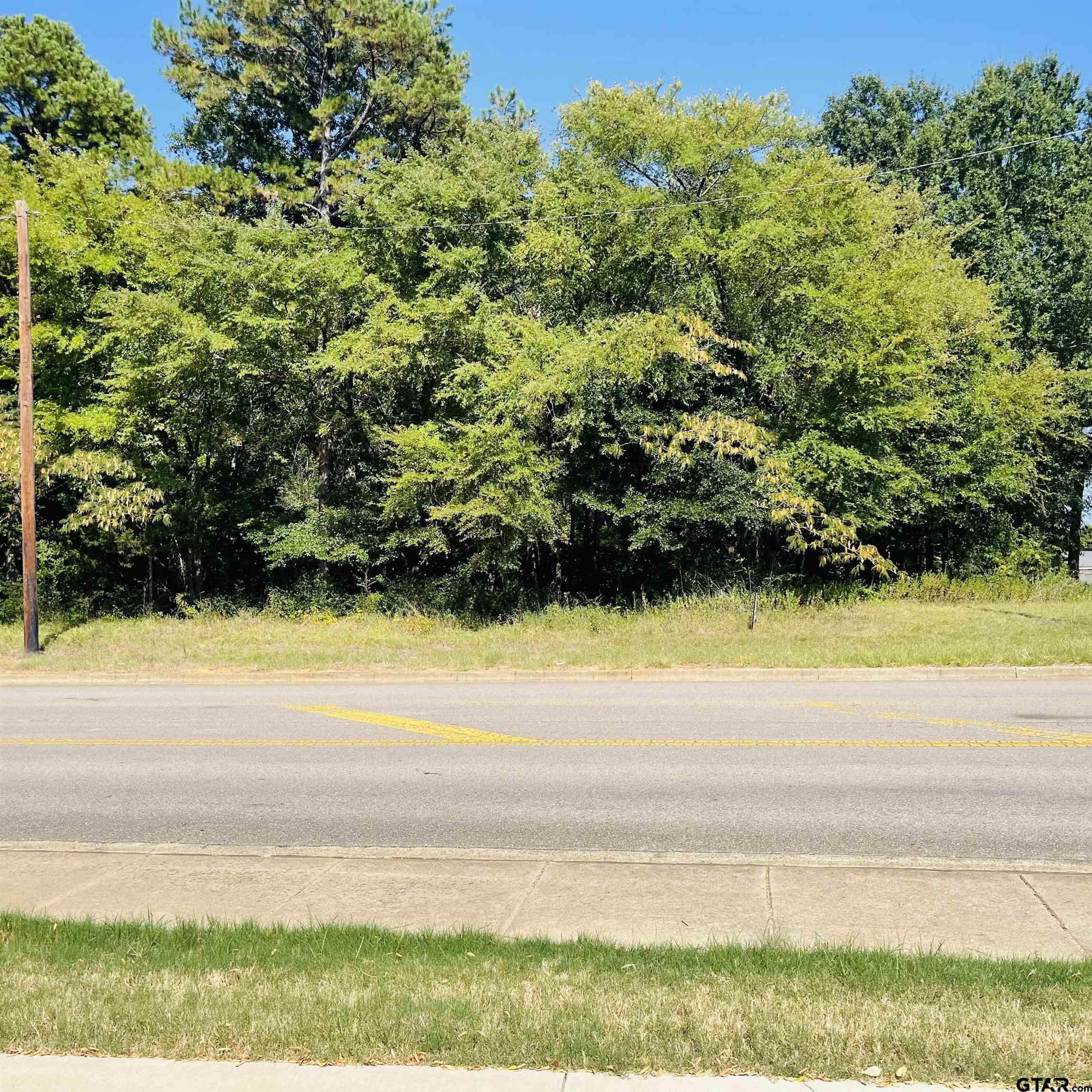 1729 Moseley, Tyler, Texas image 1