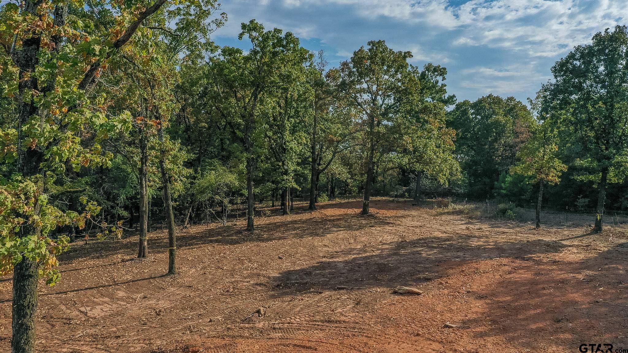 19477 Cedarpark Pl, Lindale, Texas image 1