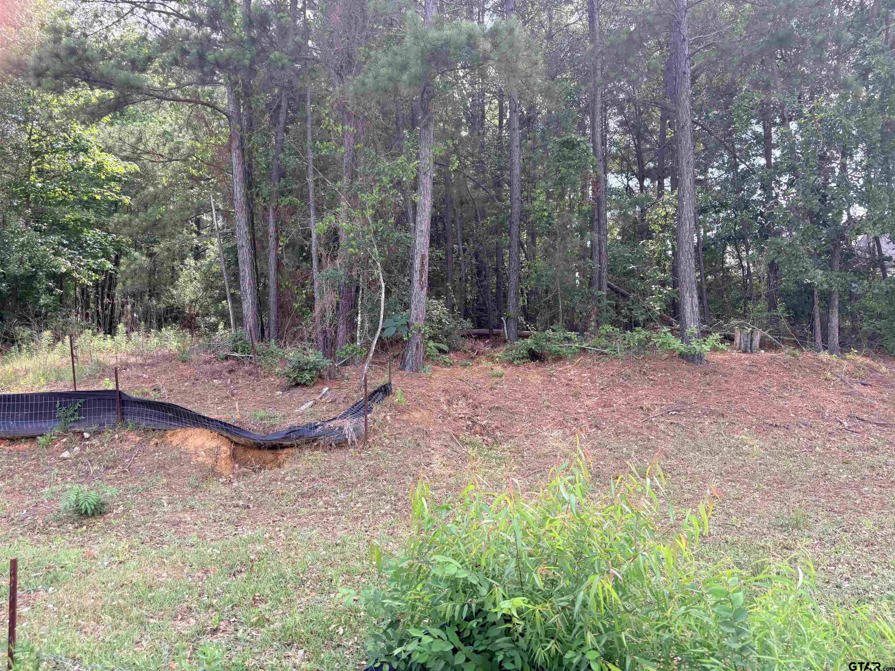7545 Northlake, Tyler, Texas image 1