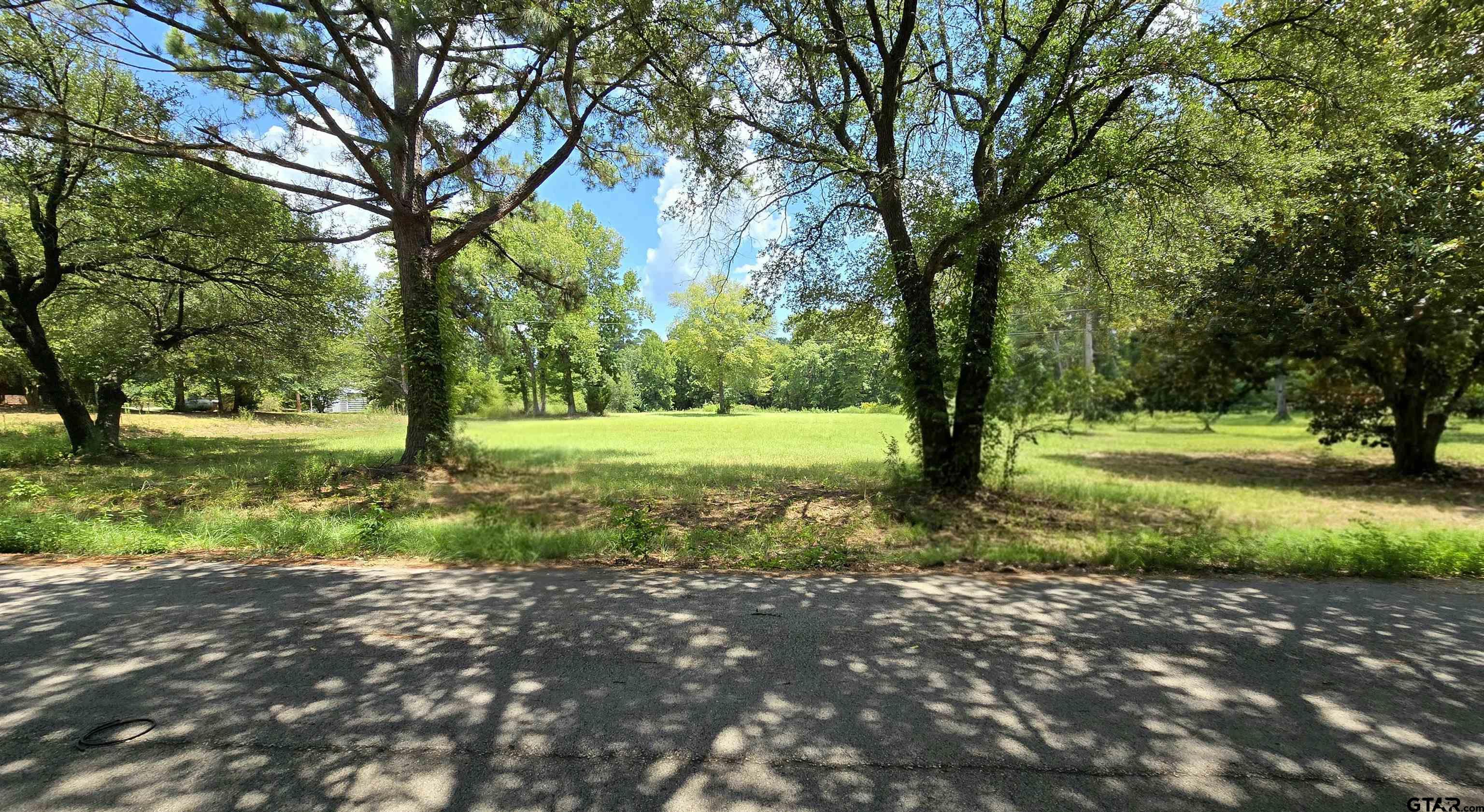 12456 N Pointe Road, Winona, Texas image 1