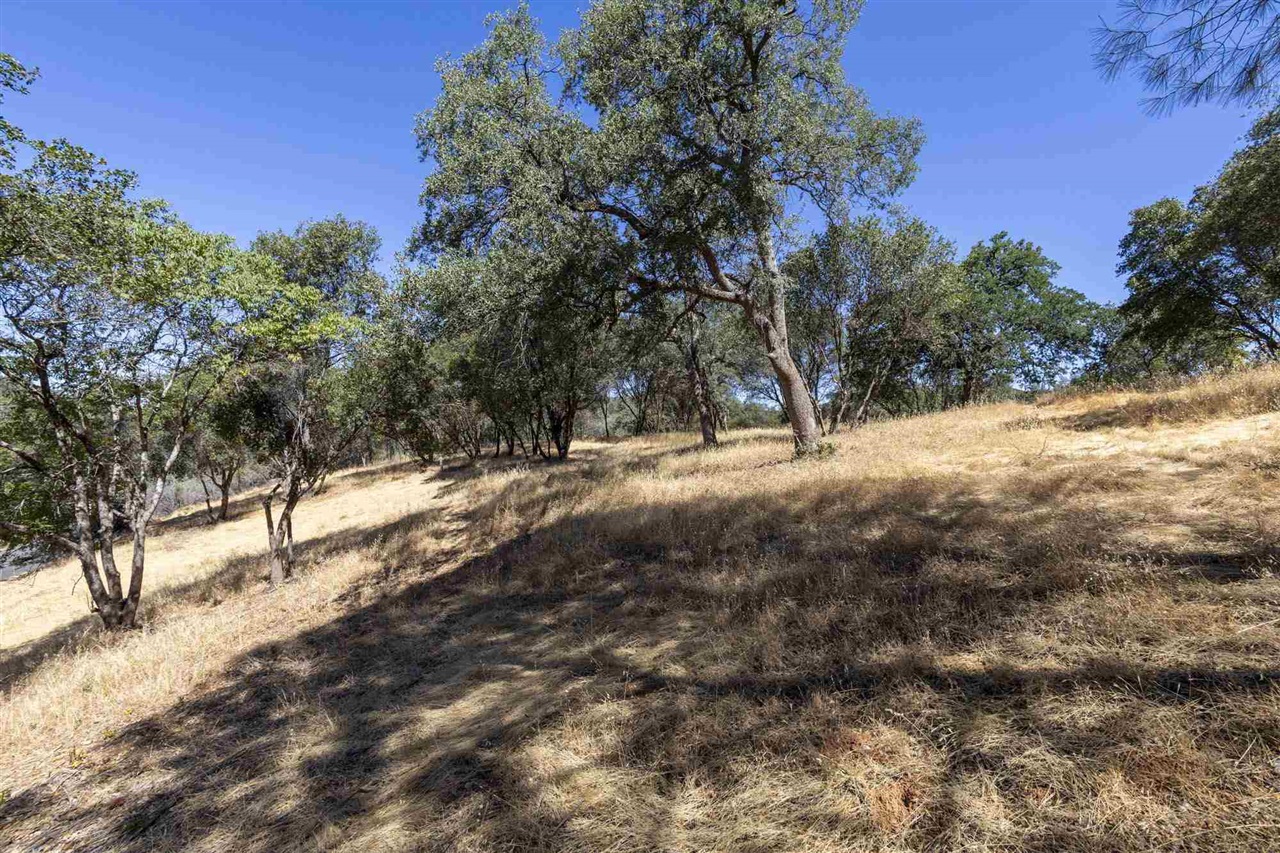 1.66 A Avenida Bonita N, Sonora, CA, 95383