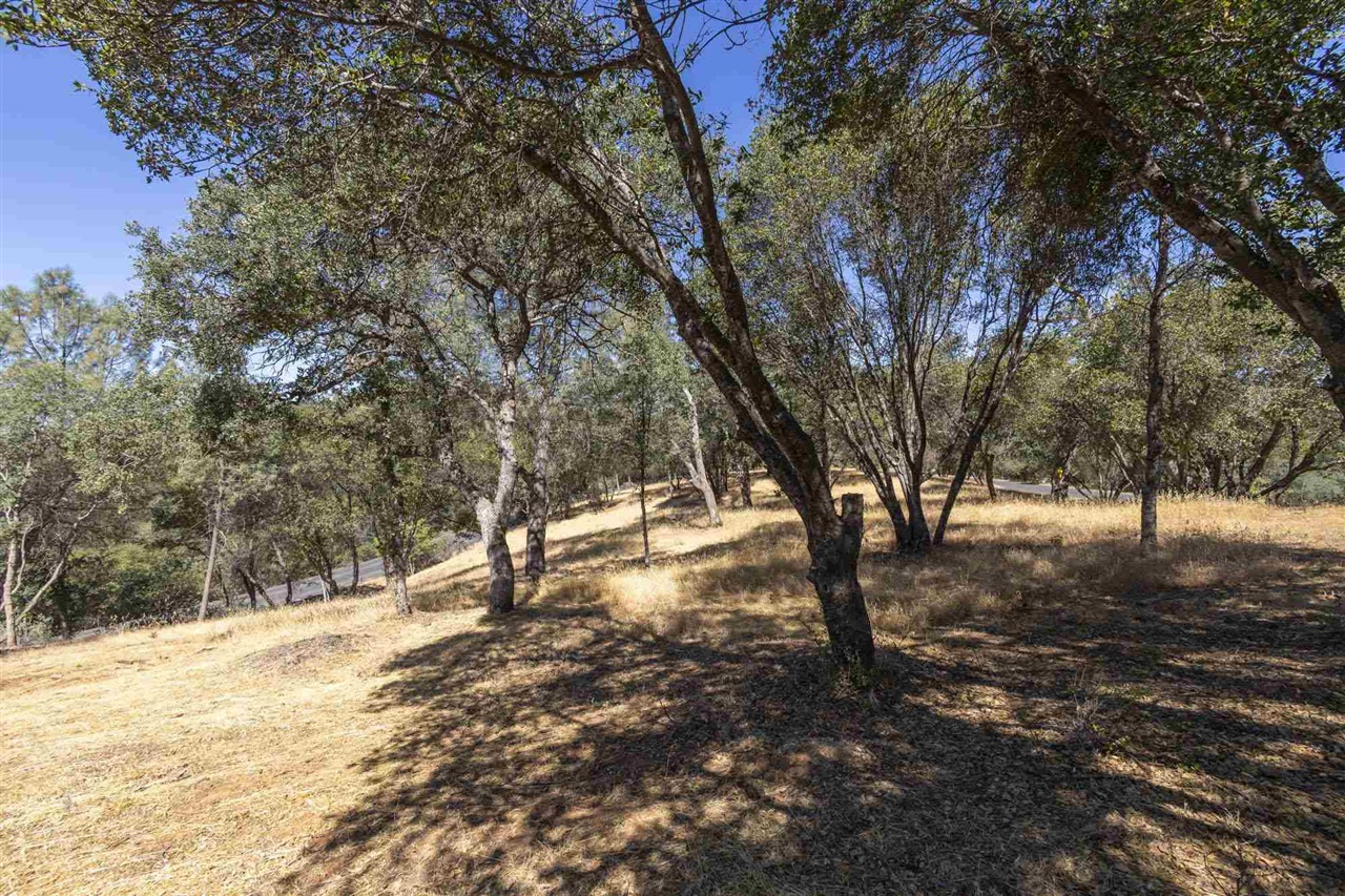 1.66 A Avenida Bonita N, Sonora, CA, 95383
