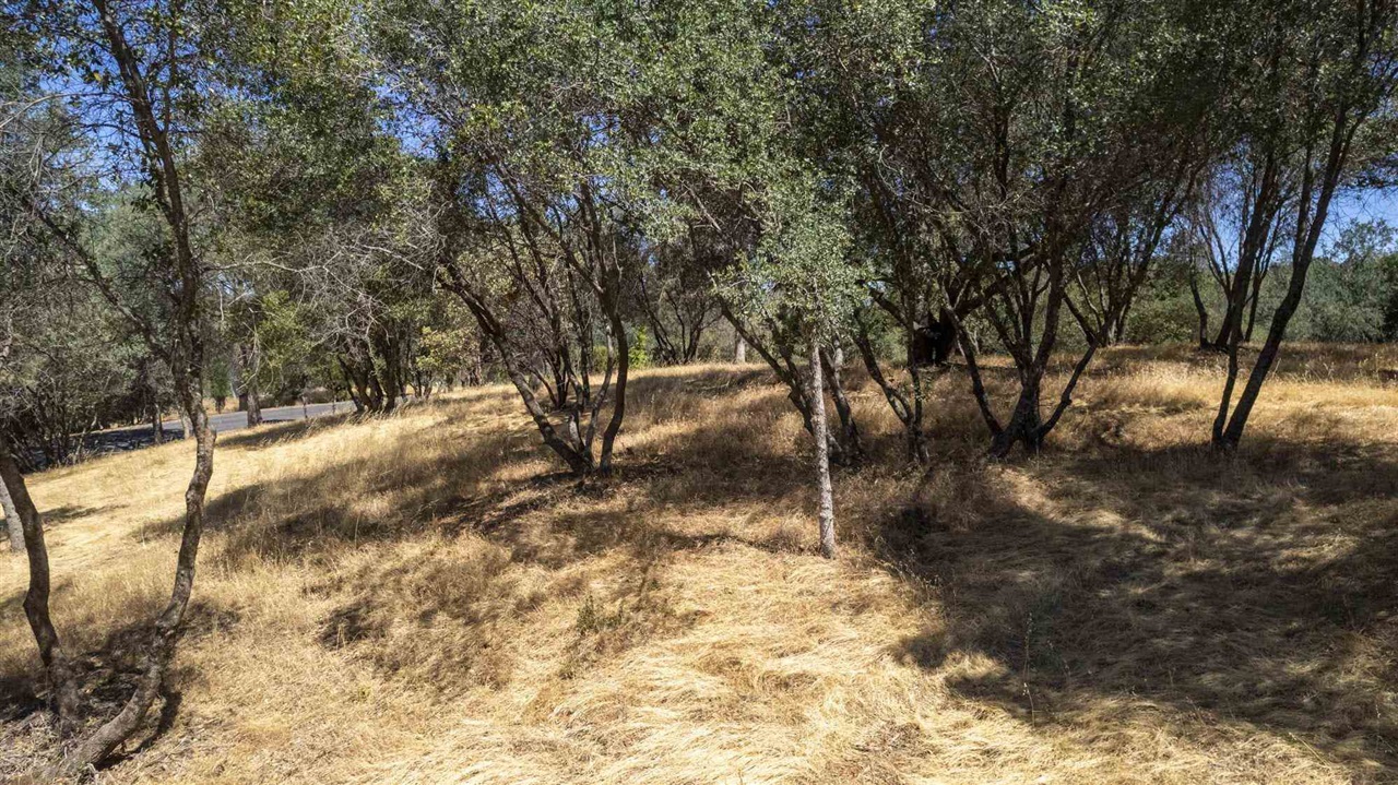 1.66 A Avenida Bonita N, Sonora, CA, 95383
