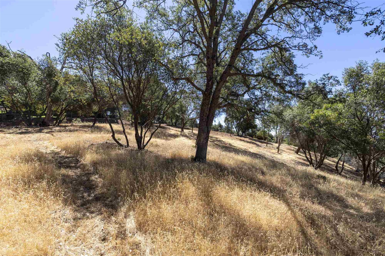 1.66 A Avenida Bonita N, Sonora, CA, 95383