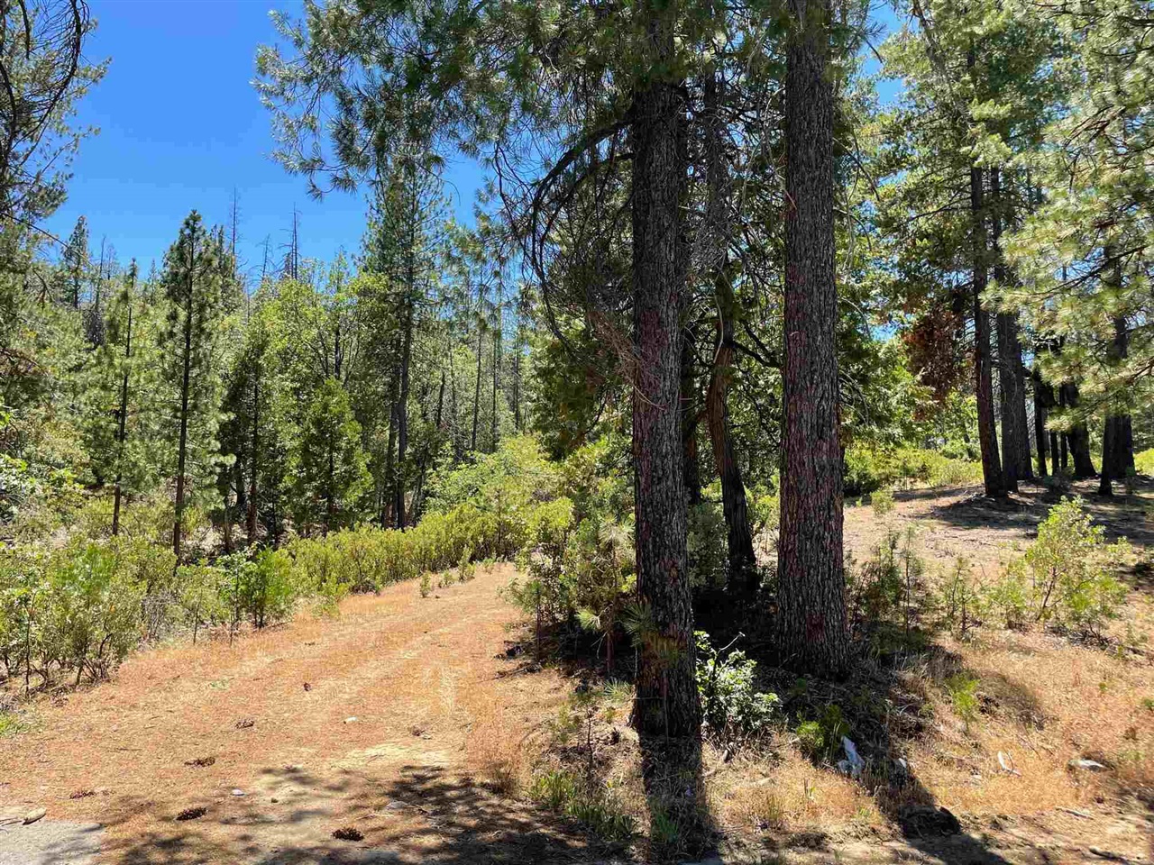 Groveland (A gateway to Yosemite)