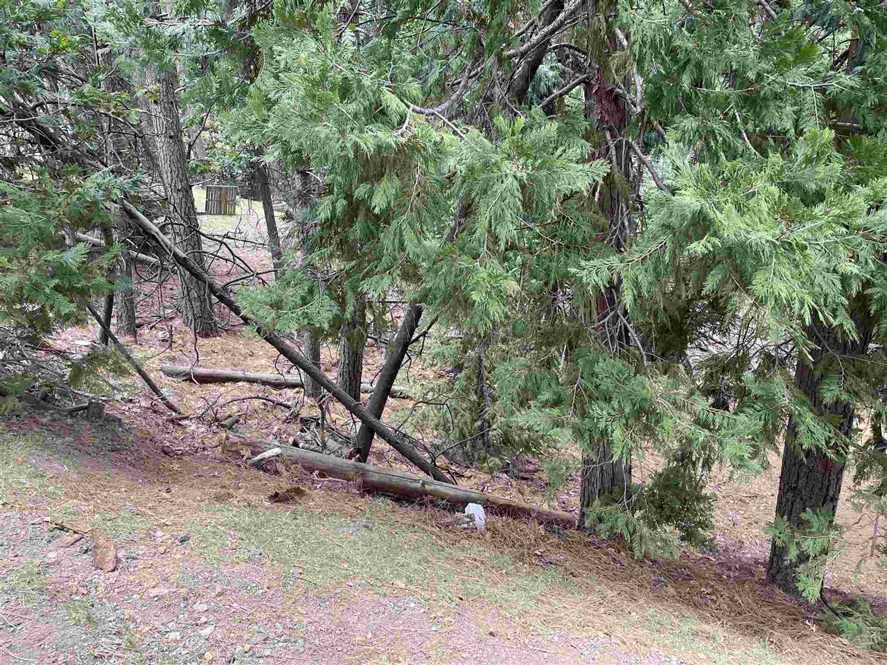 23999 Oxbow, Sonora, CA, 95370