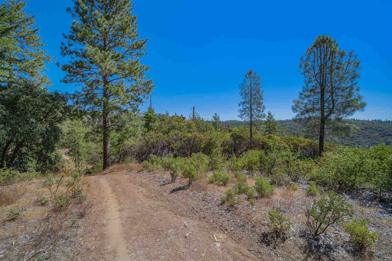 1.66 A Avenida Bonita N, Sonora, CA, 95383