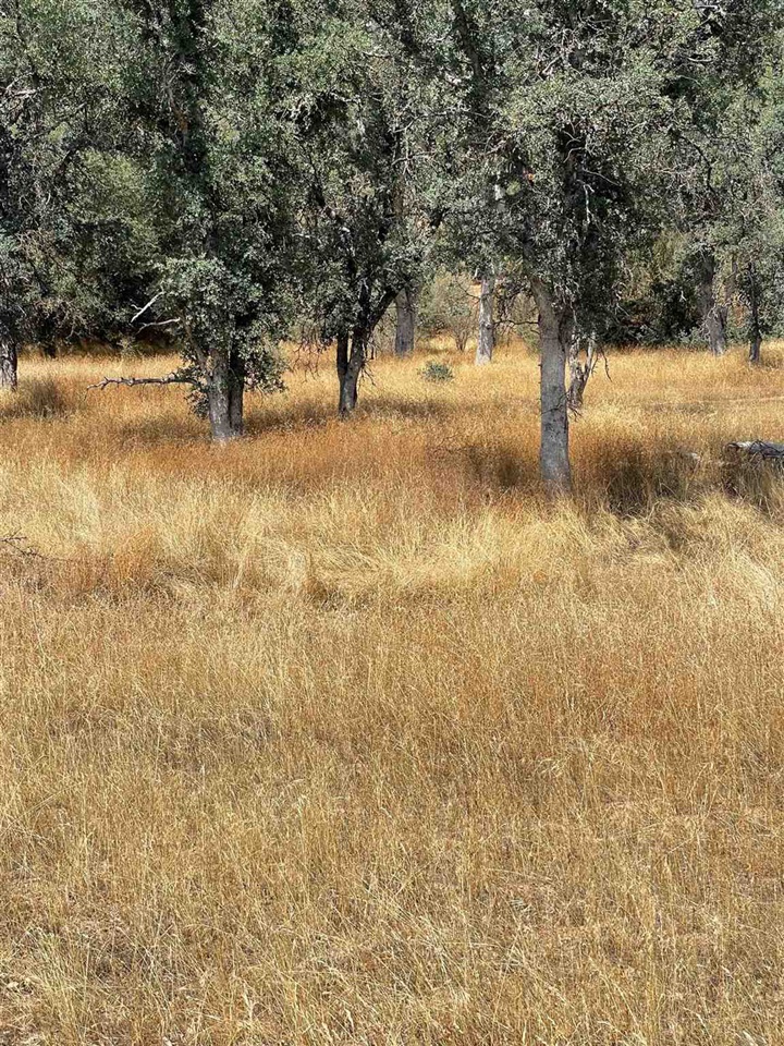 Bull Creek Rd 2S05, Coulterville, CA, 95311