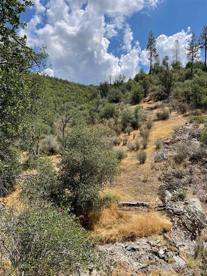 Bull Creek Rd 2S05, Coulterville, CA, 95311