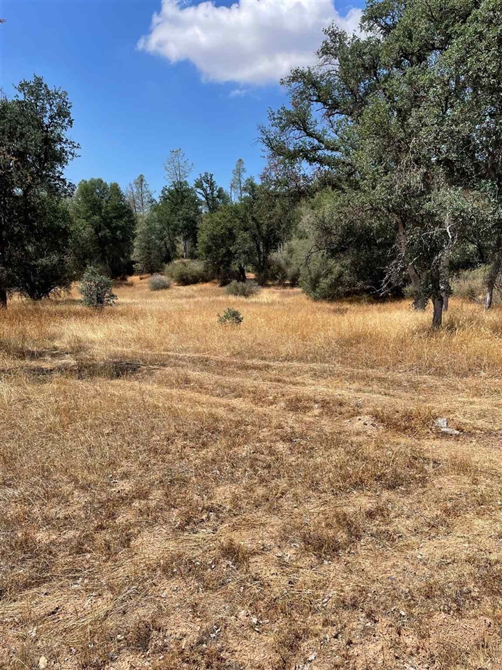 Bull Creek Rd 2S05, Coulterville, CA, 95311