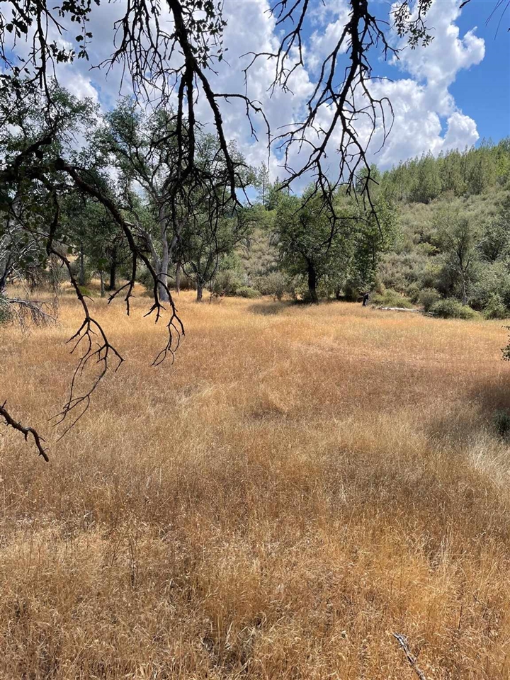 Bull Creek Rd 2S05, Coulterville, CA, 95311